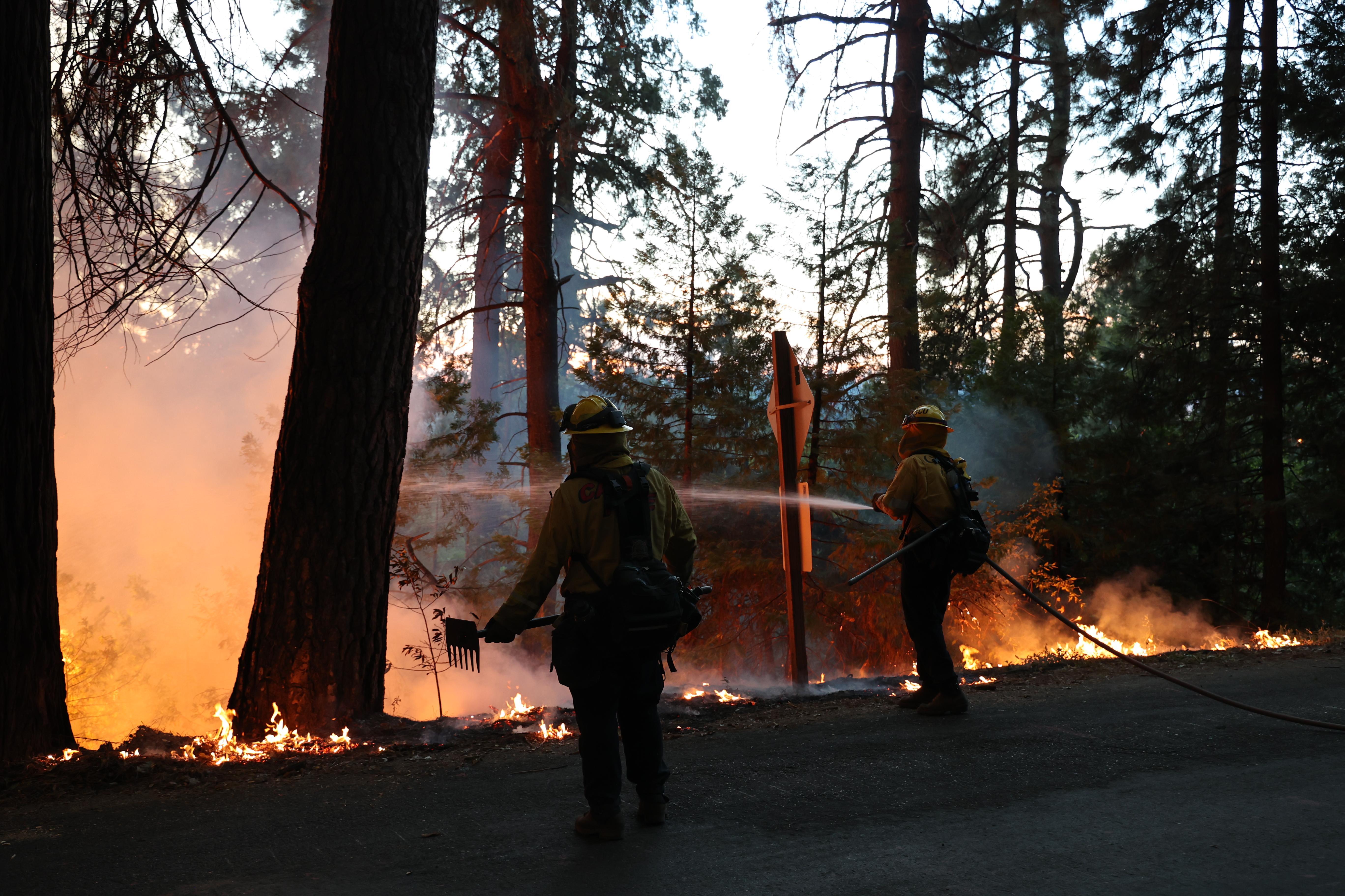 At dusk, 2 male firefighters stand on the edge of a road with hose and tools. The trees and brush go up to the road and are burning with flames taller than the men.