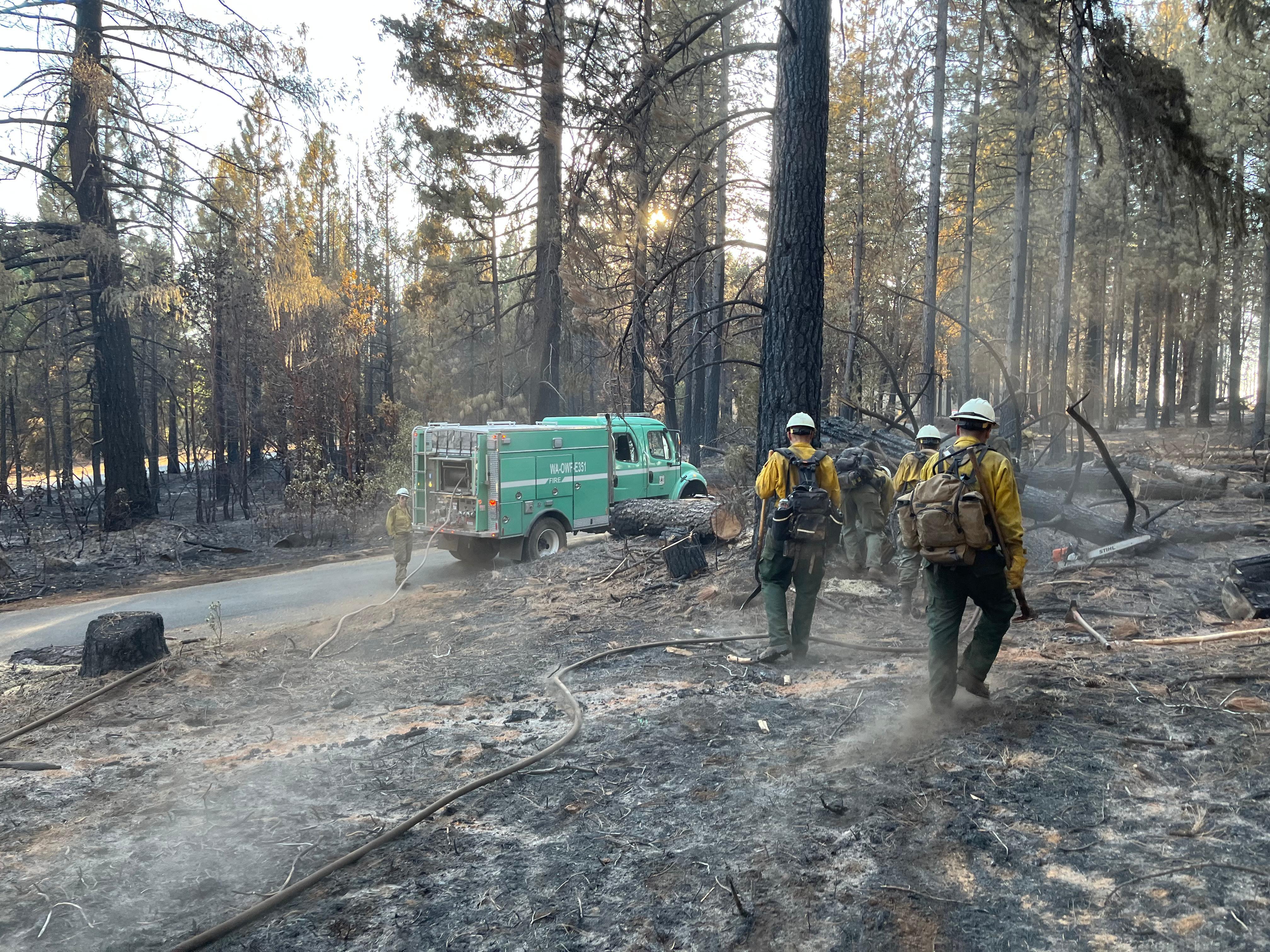2 firefighters walk through a burned forest to their fire engine that is parked on the road