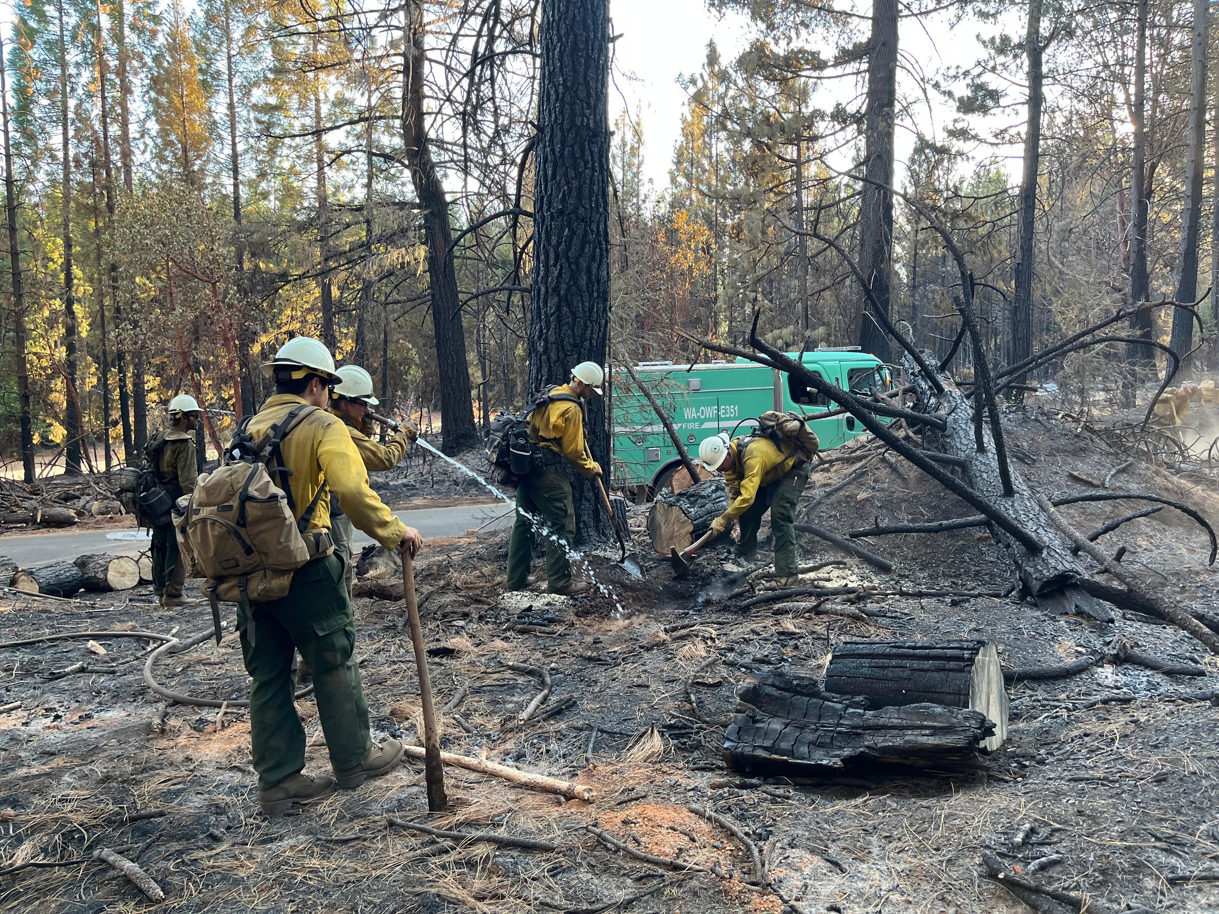 A female firefighter in a burned forest, sprays water from a firehose onto smoking ground that is still hot with smoldering fire. 4 male firefighters use hand tools to scrape the ground and water to extinguish the smoke