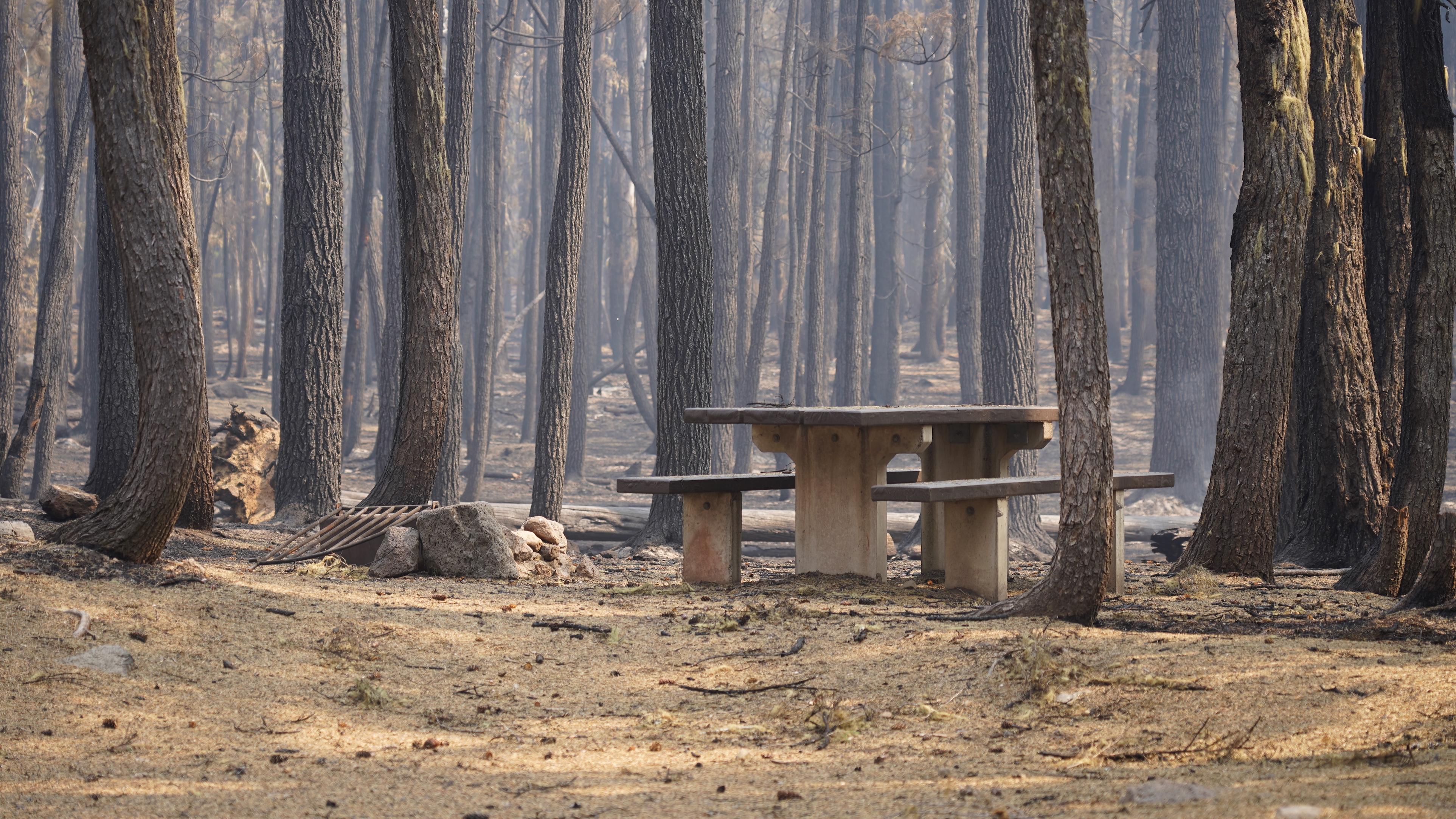 A picnic table is surrounded by trees that have burned at North Waldo Campground