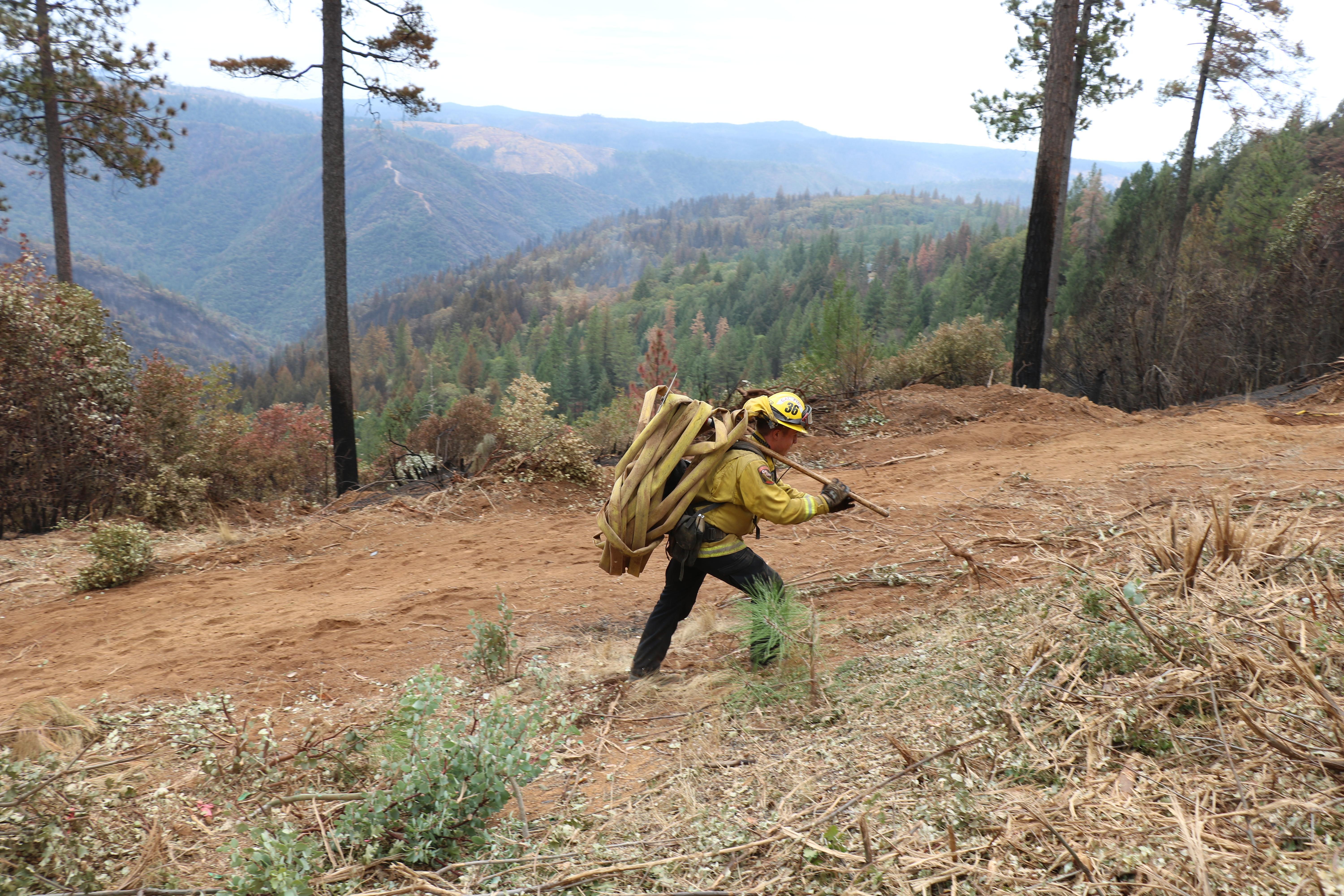 a male firefighter carries a large bundle of fire hose looped over a long wood tool handle that he rests on his shoulder. He walks on a wide dirt dozer line in an open clearing with forested mountains in the background