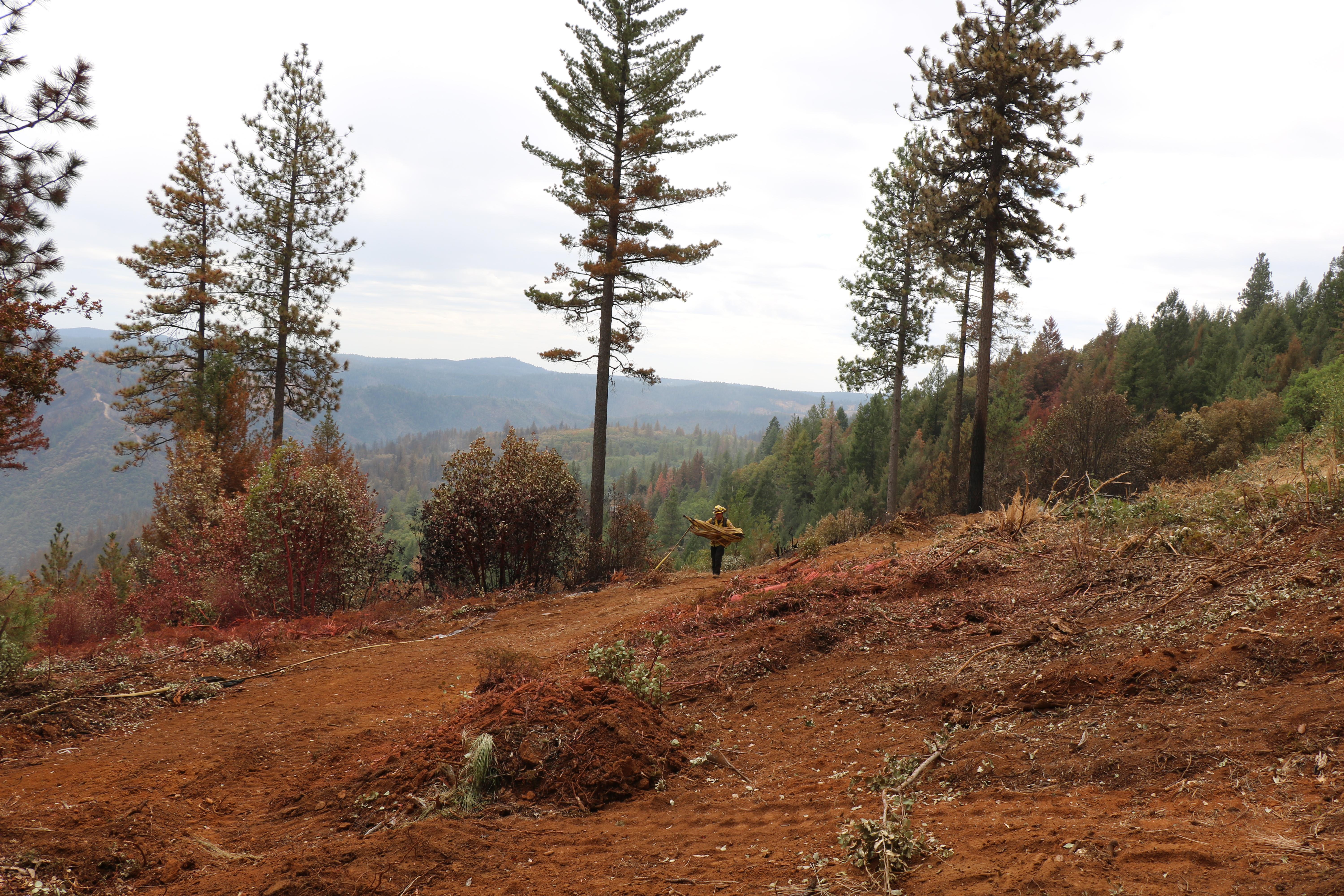 against a cloudy, smoky sky, a lone male firefighter stands in a large clearing in the forest on a wide dirt dozer line winding fire hose into a bundle to carry away. Some of the forested mountainsides are burned and some are notthe trees around him are