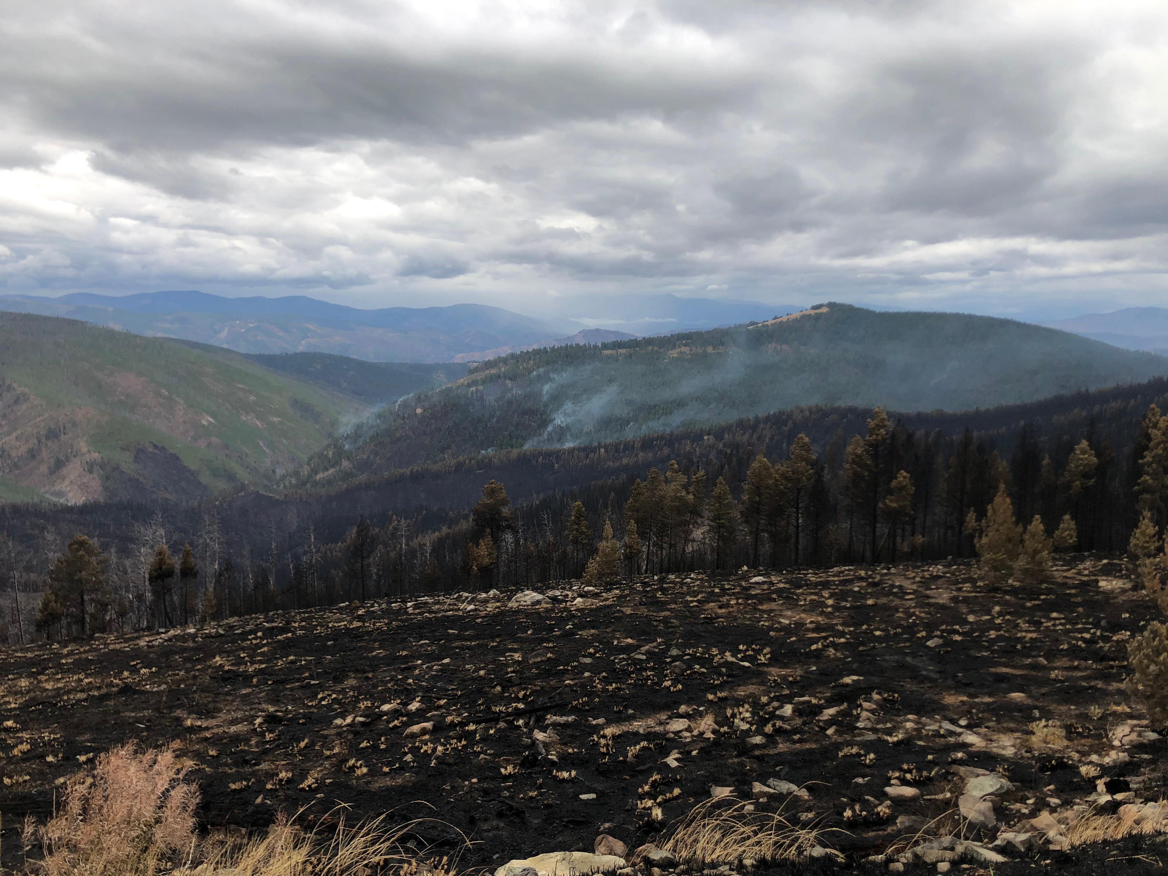 Overlook of Trail Ridge Fire