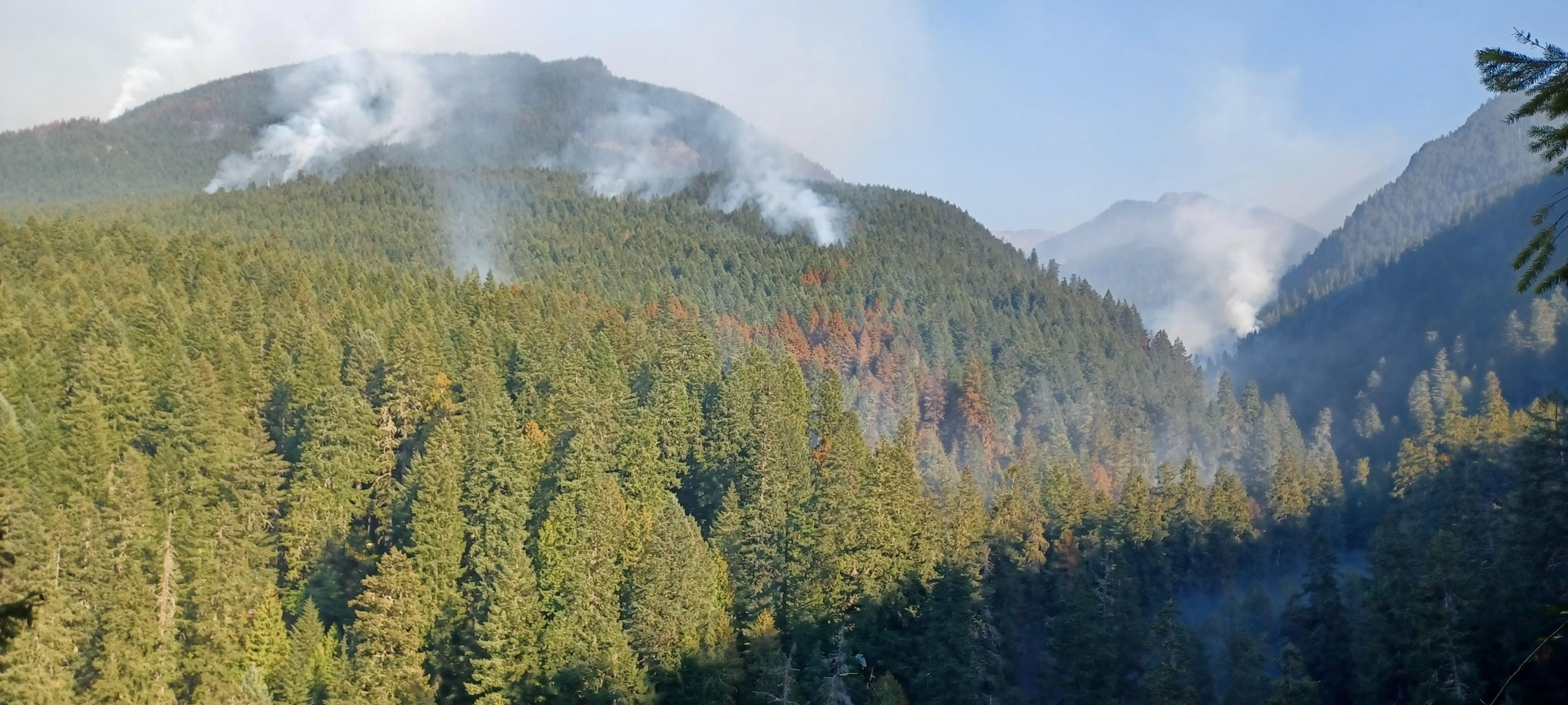 A view of the forested slopes along Coal Creek, with smoke rising from scattered areas.
