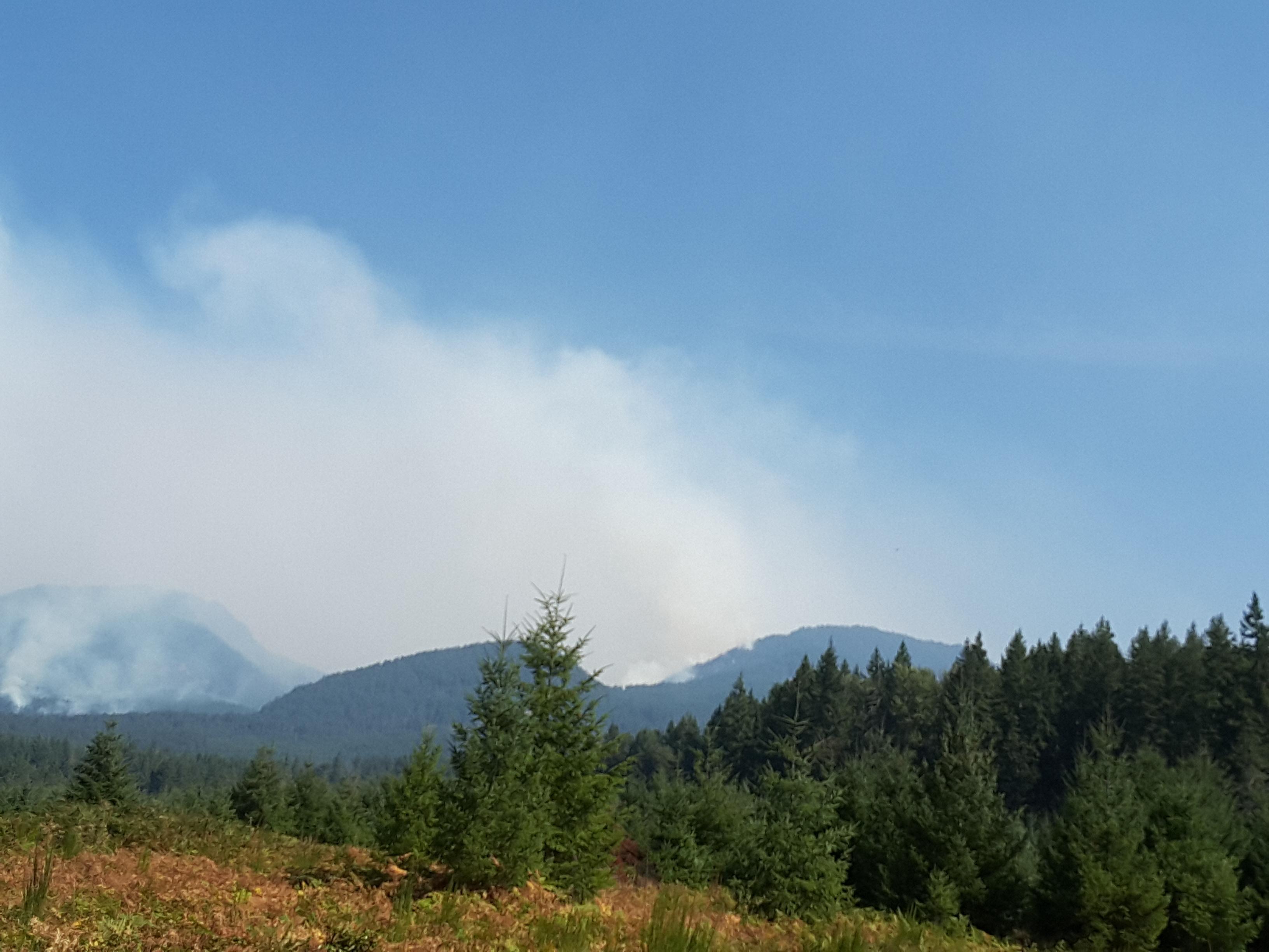 Looking past the flatter ground and young trees along Thompson Road toward the southwestern part of the fire. Smoke in the center of the photo is rising from the Coal Creek drainage where the fire made a push up the hill toward Three Peaks.