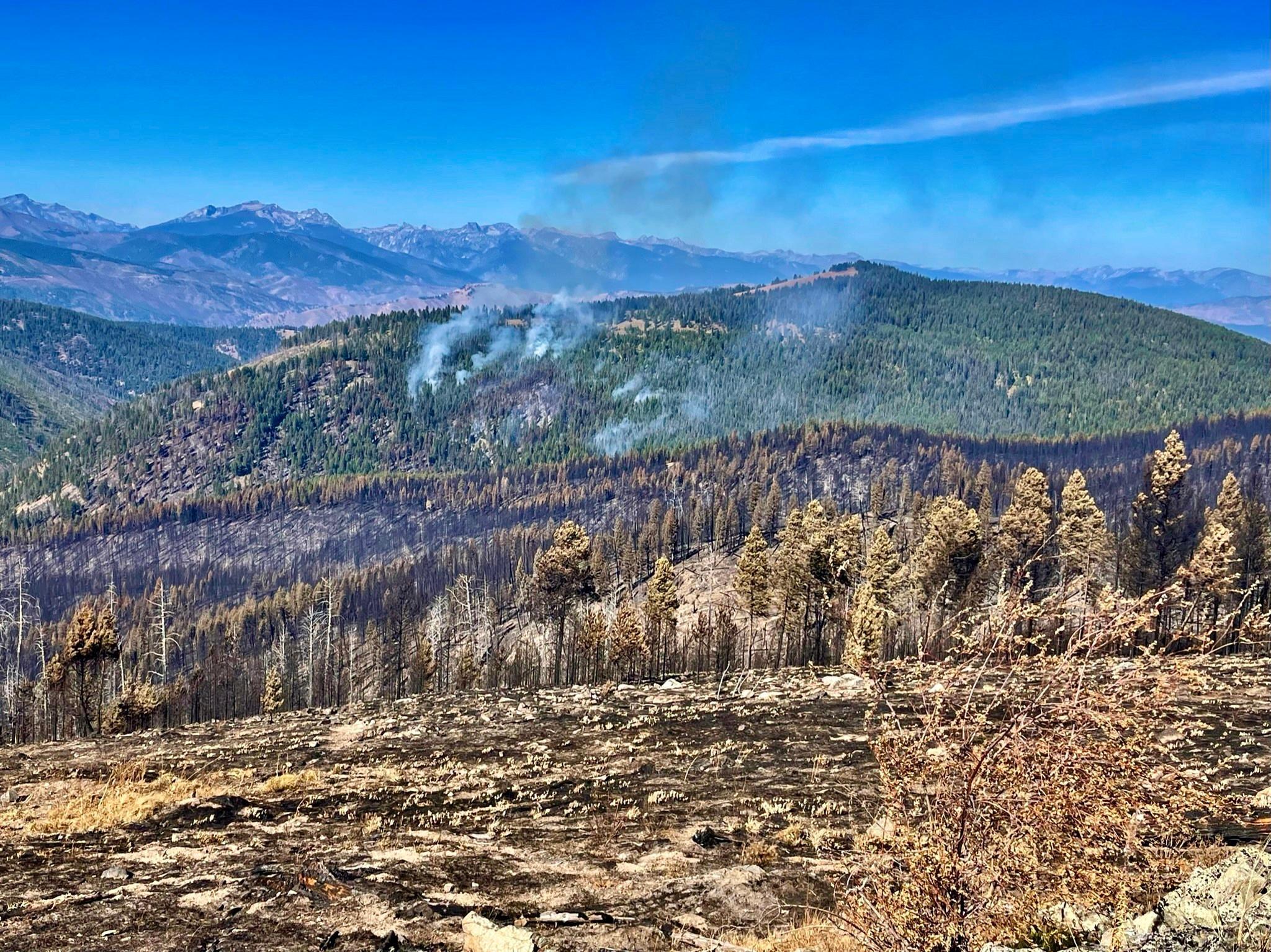 Trail Ridge Fire
