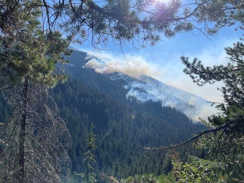 Smoke coming out of steep forested mountain side on the Minnow Ridge fire.