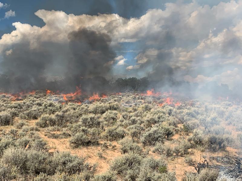 Dry Mesa Prescribed Burn in sagebrush