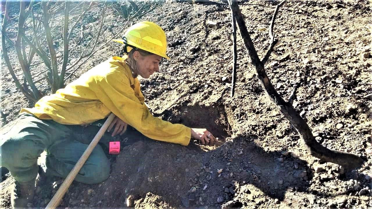 Image showing BAER Soil Scientist Serena Kuczmarski Assesses soil burn severity in burned area