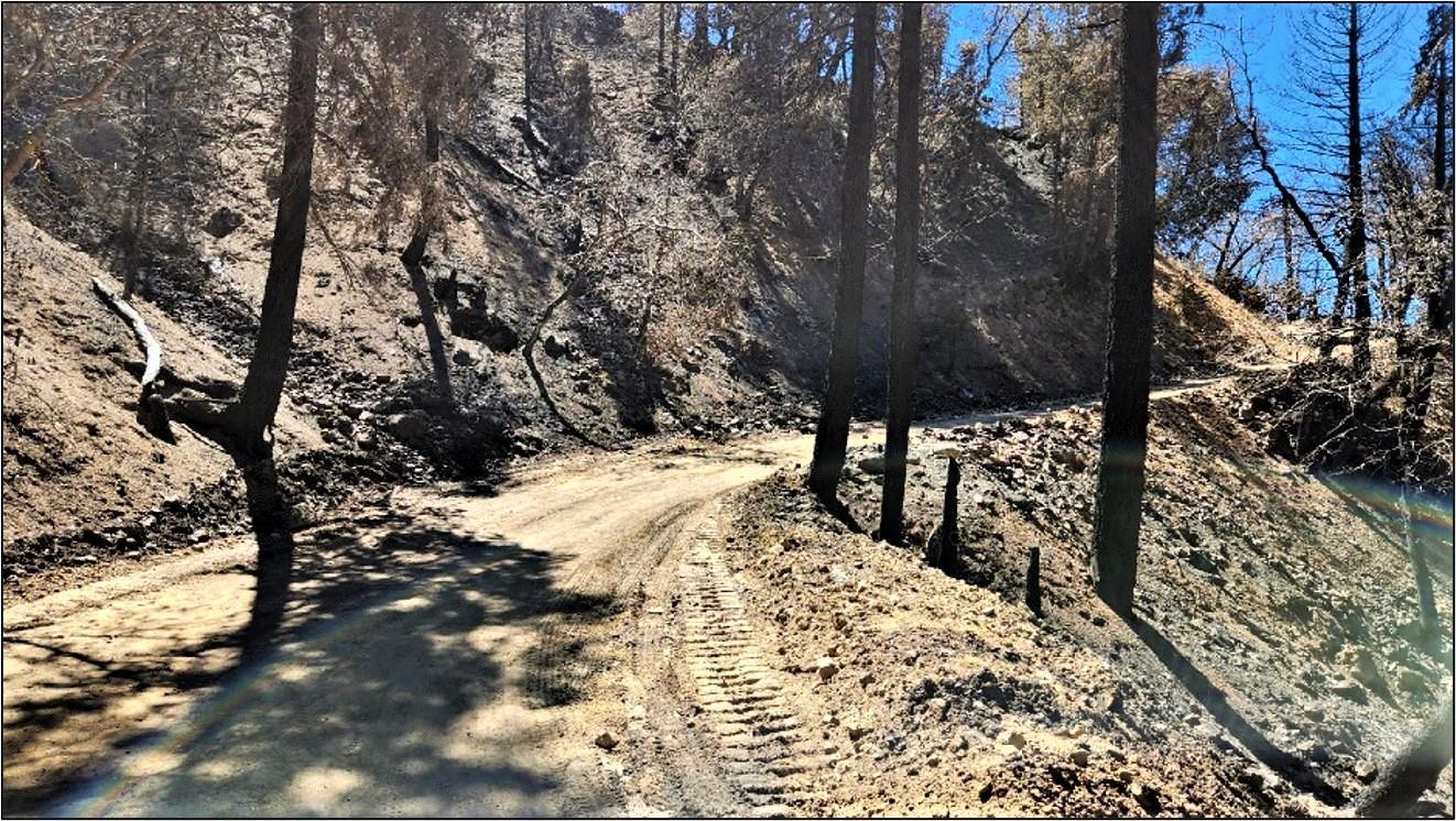 Image showing USFS Road 2N06 in Radford burned area