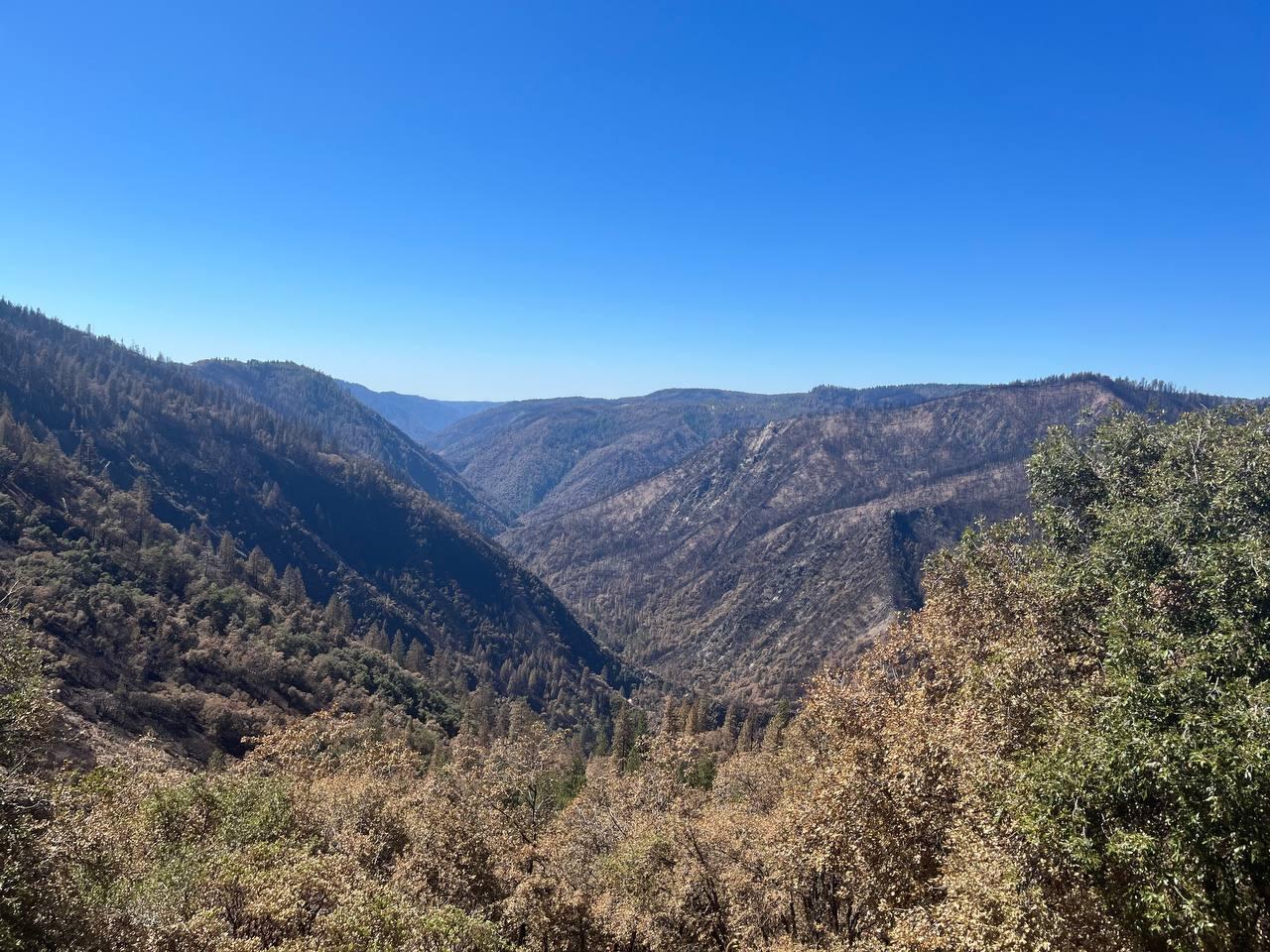 Steep terrain and unburned fuels looking off of Mosquito Ridge Road into the Middle Fork of the American River, on the north and northwestern line of the Mosquito Fire footprint. 