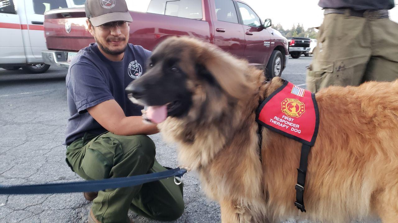 Therapy dog Dakota visits first responders on the Mosquito Fire. Sept. 27, 2022. 