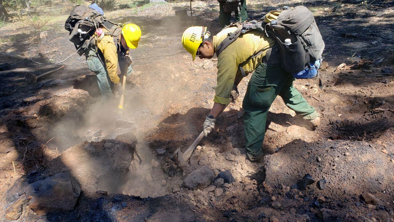 Firefighters from Plumas Engine 311 dig down deep into the soil to extinguish potential hot spots. This process, known as “mop up” must be completed along all established fire lines before an area can be considered “contained.” 