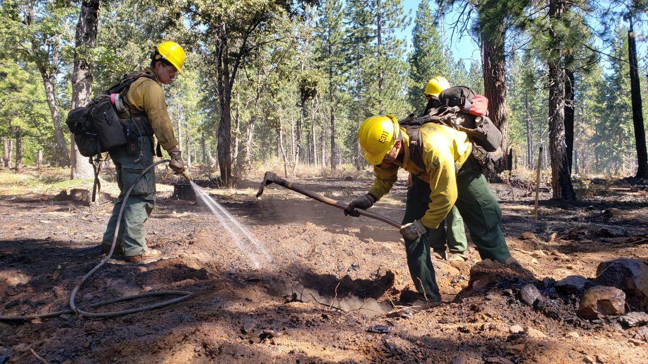 Firefighters from Plumas Engine 311 use a hose to cool off hot spots in the ground. While forward progression of the fire may be halted by established containment lines, firefighters must find and extinguish areas like this in order to officially call an