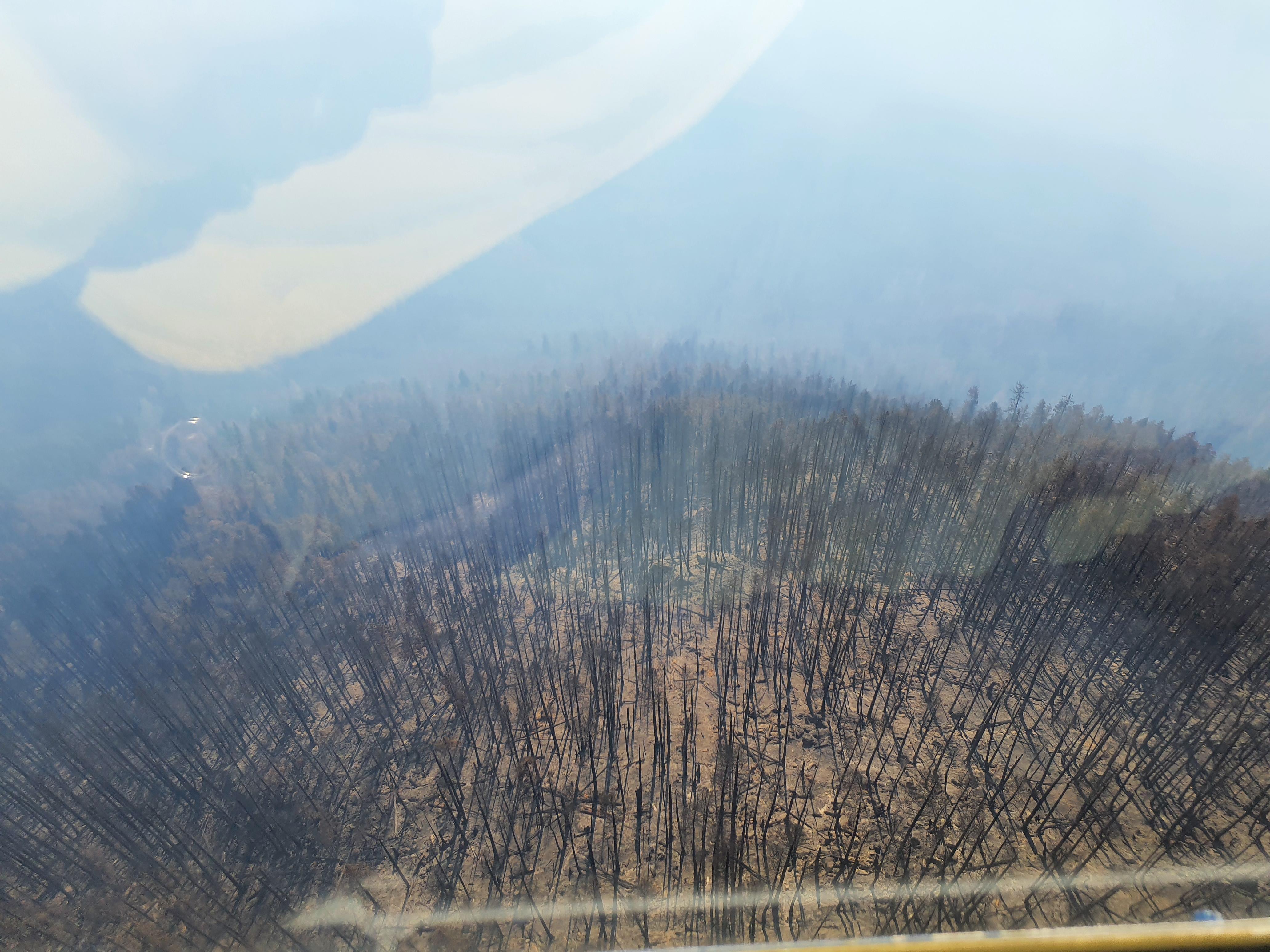 Aerial photograph of burned area