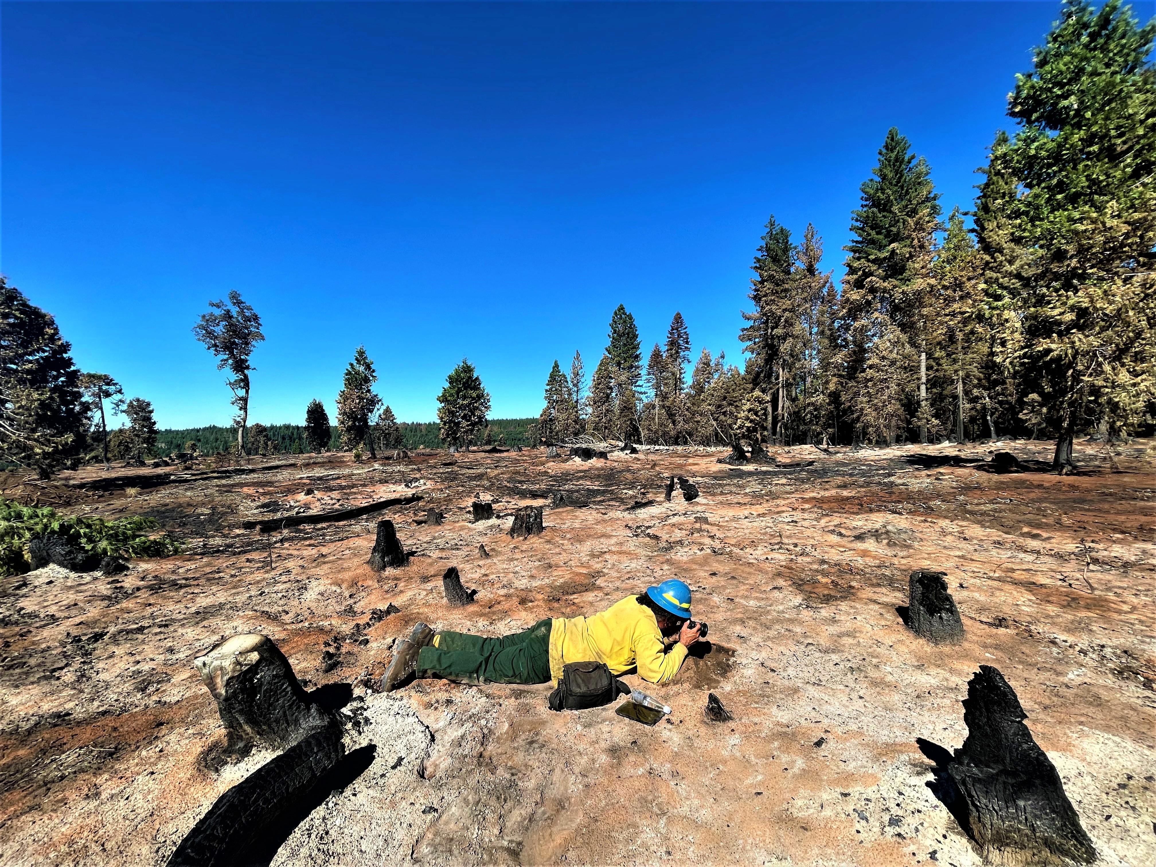 Image showing BAER Scientist Eric Nicita assessing soil burn severity near Deadwood Road in Mosquito burned area