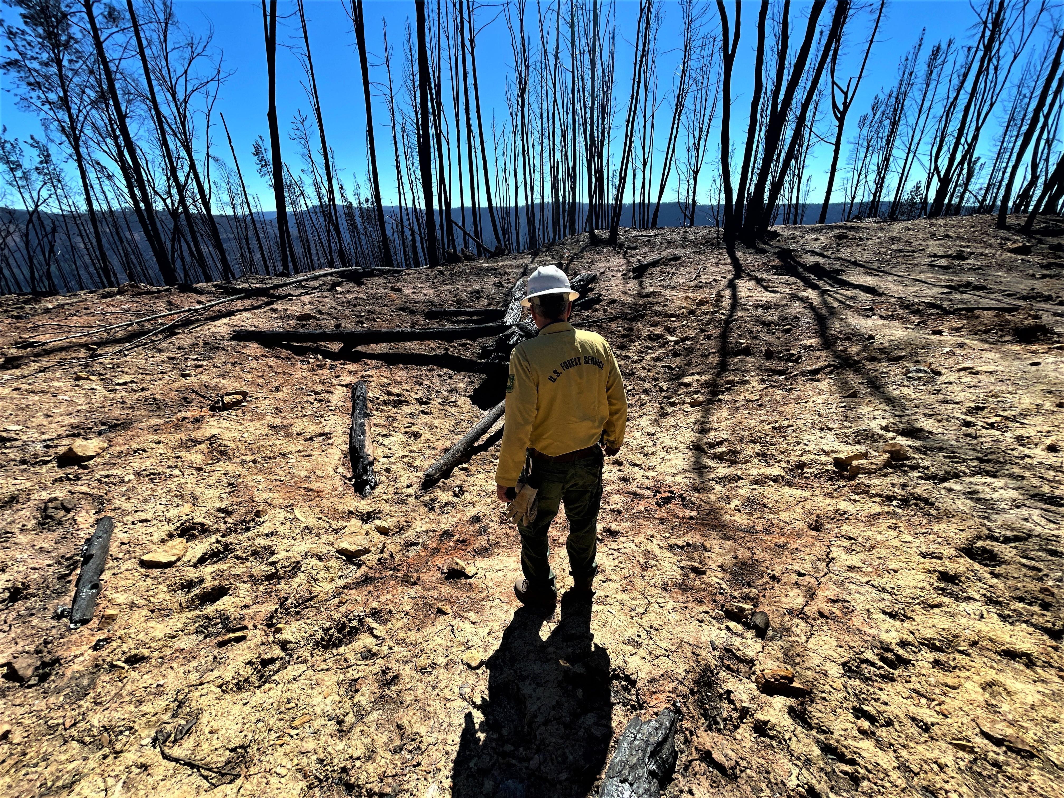 Image showing BAER Environmental Geologist Rick Weaver newly constructed California red-legged frog wetlands on the American River Ranger District in the Mosquito burned area