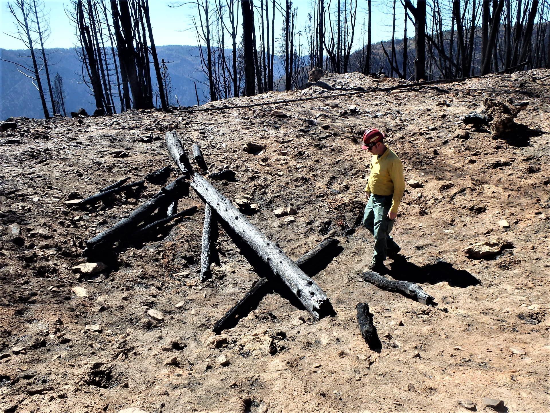 Image showing BAER Aquatics Biologist Dan Teater, Fisheries Biologist assessing California red legged frog critical habitat that was burned over by the Mosquito Fire