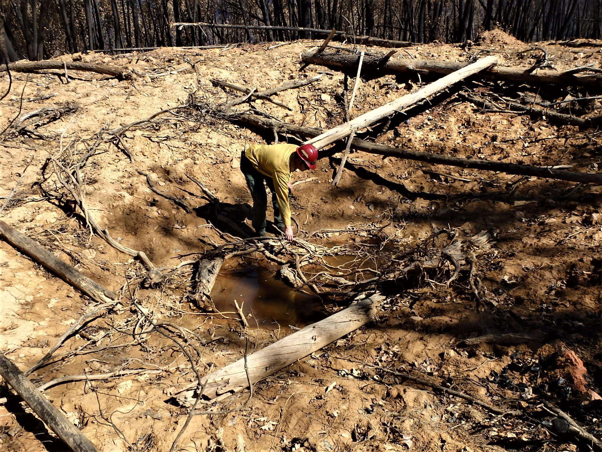 Image showing BAER Aquatics Biologist Dan Teater, Fisheries Biologist assessing California red legged frog critical habitat that was burned over by the Mosquito Fire