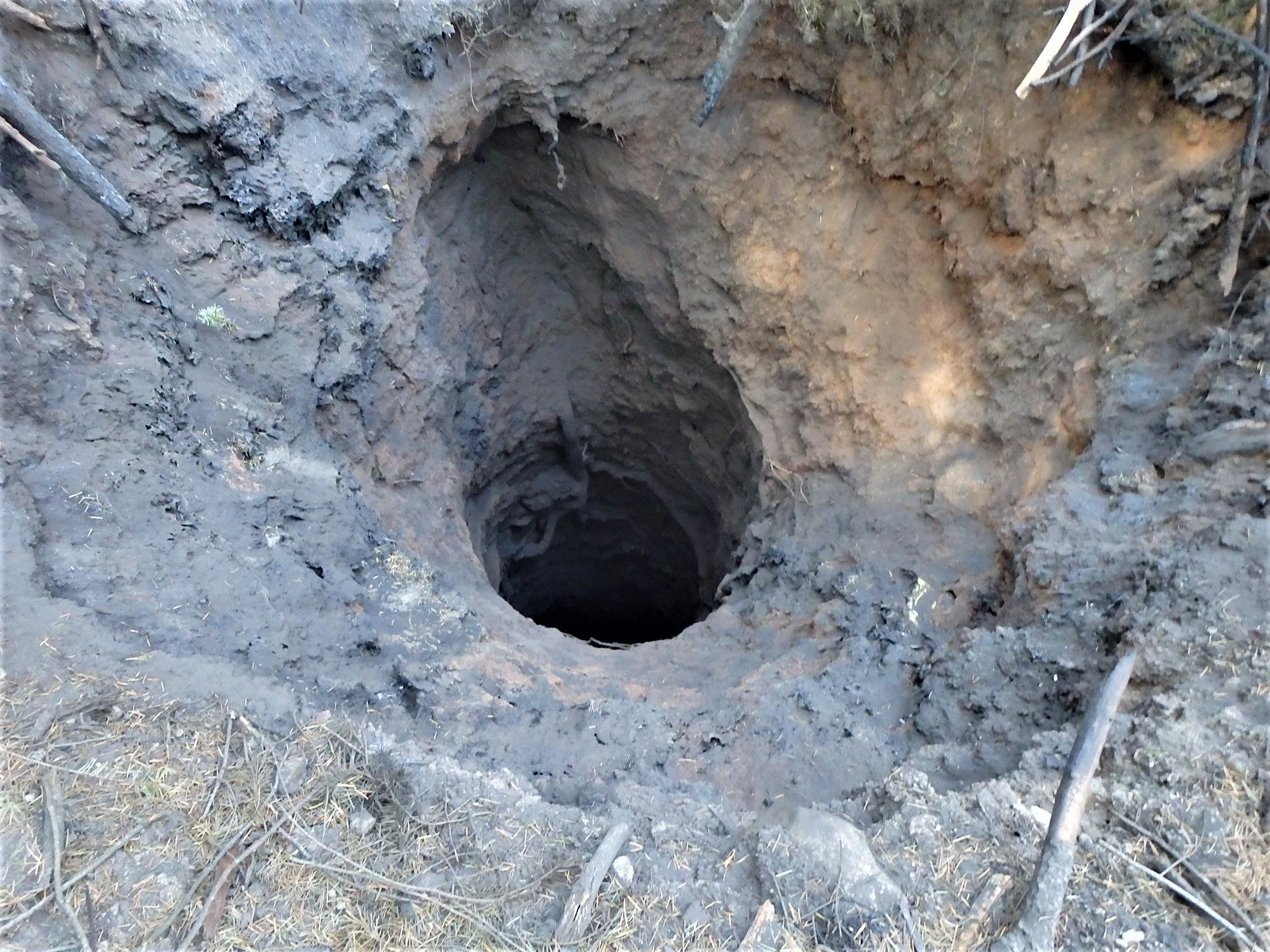 Image showing a Burned over mine shaft located in Mosquito burned area