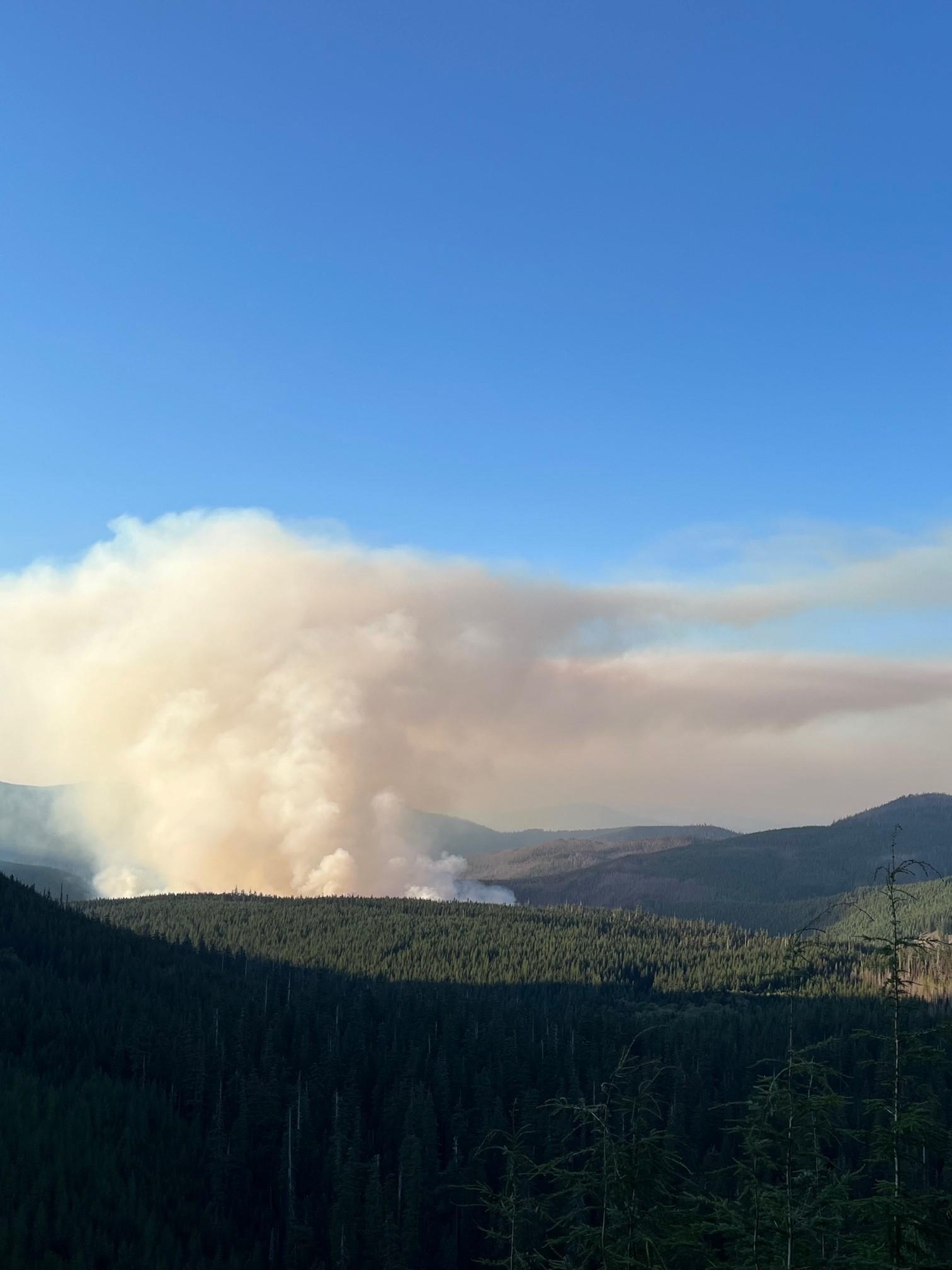 Blue sky, column of smoke rising from the Siouxon Fire