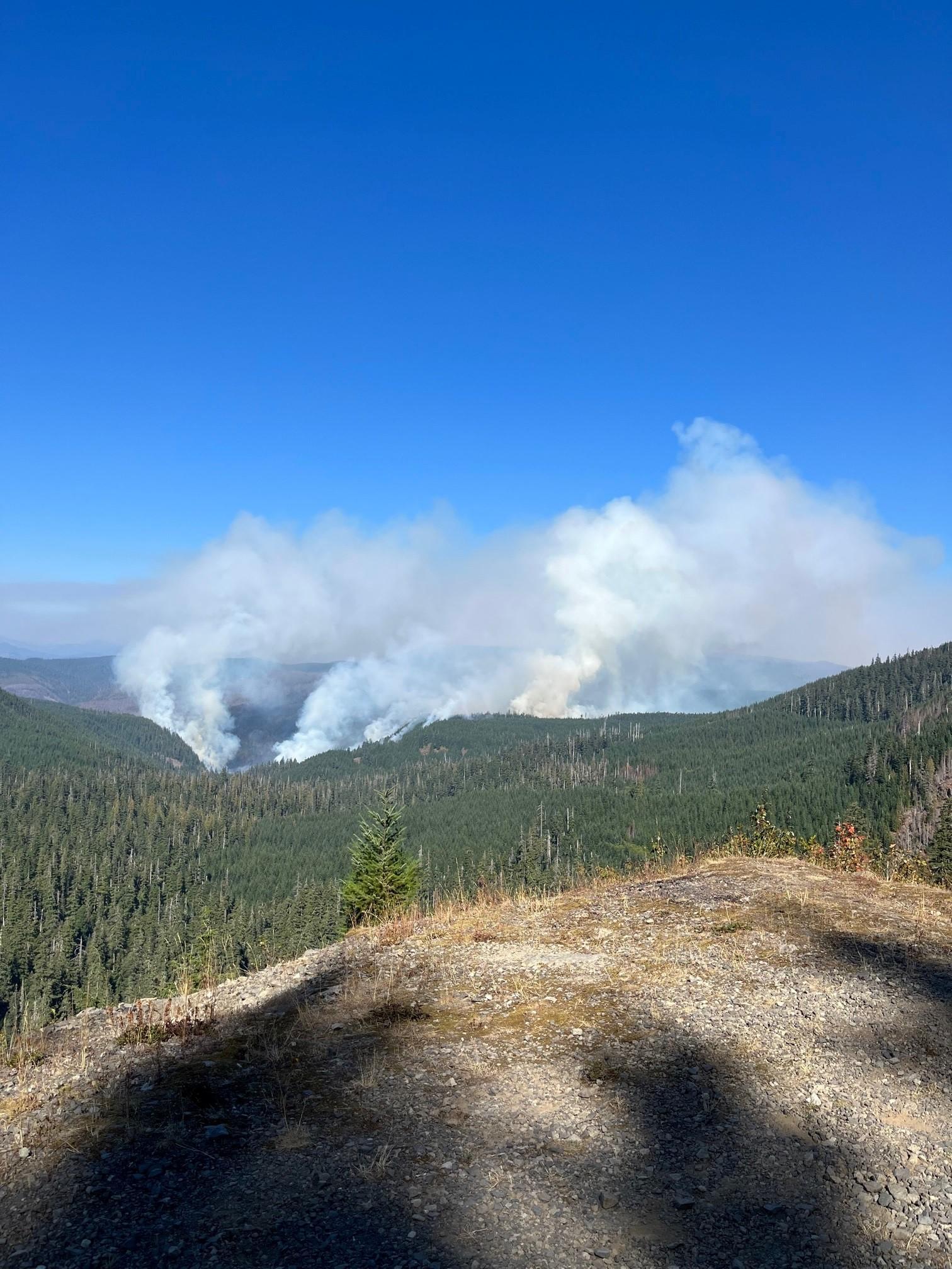 Smoke rising from a forested area