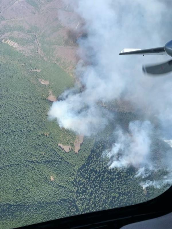 Smoke rising above a forested area as seen from aircraft