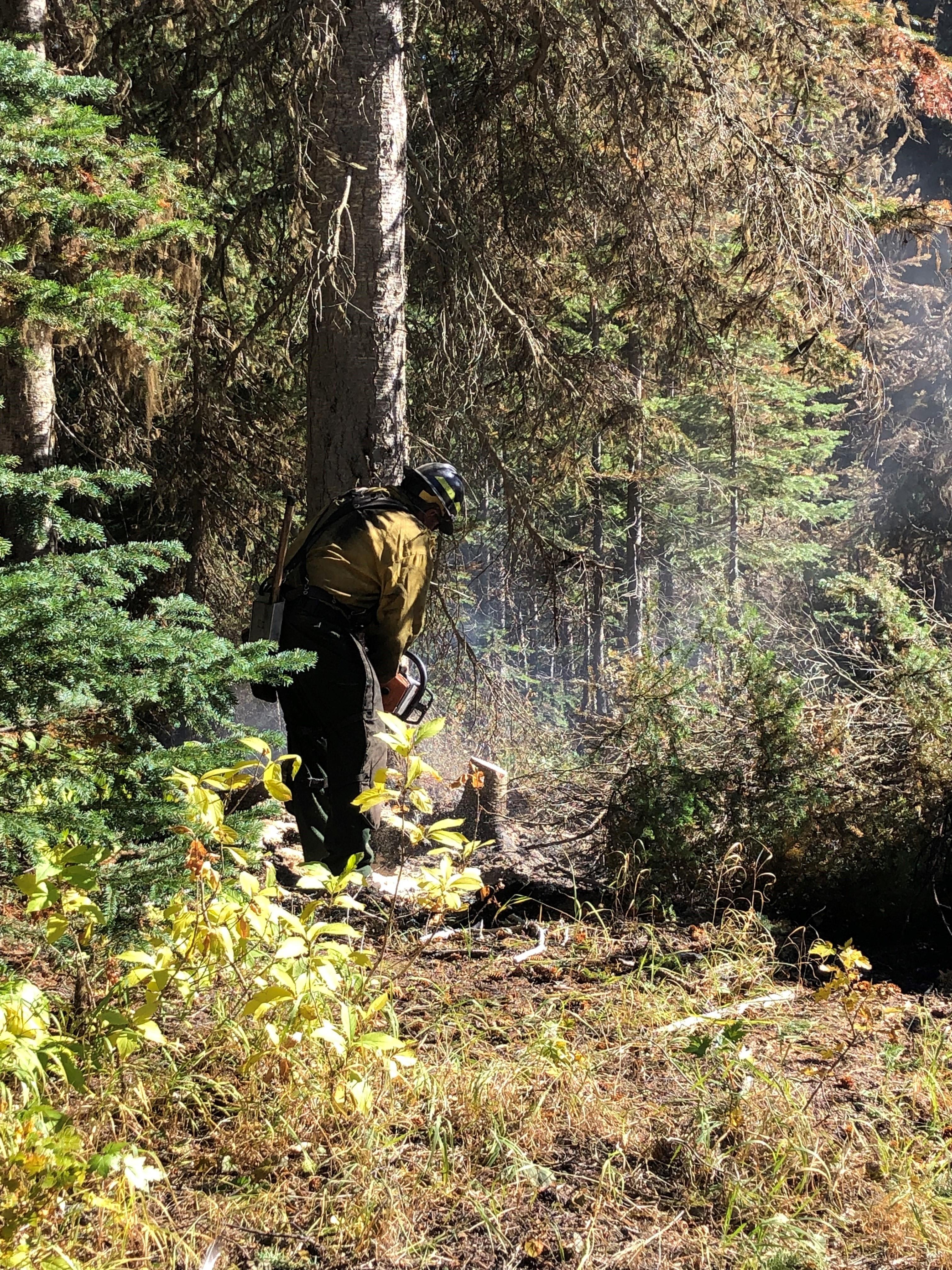 Hazard Tree Mitigation on the Weasel Fire