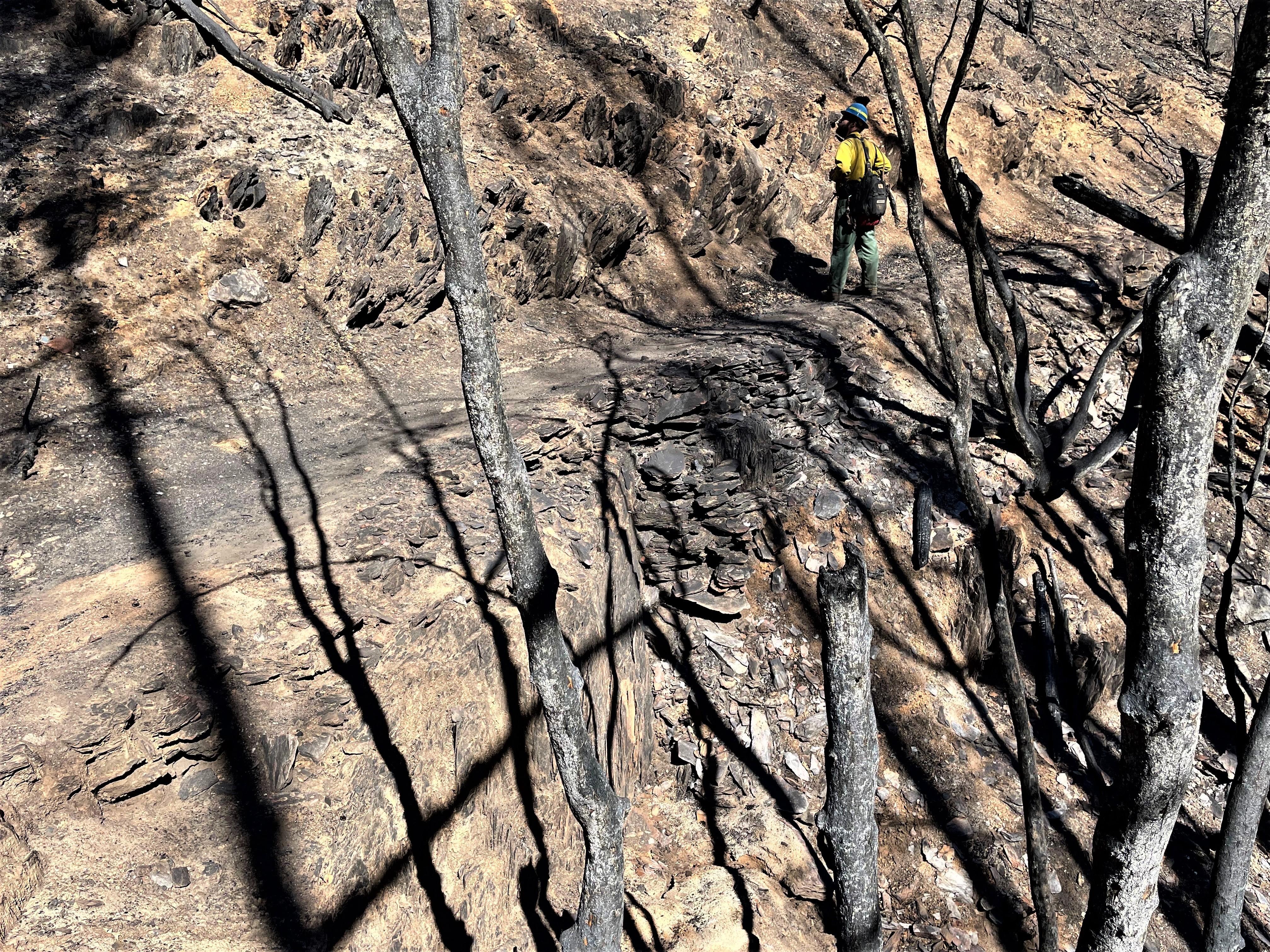 Image showing Burned Western States Trail in Eldorado Canyon