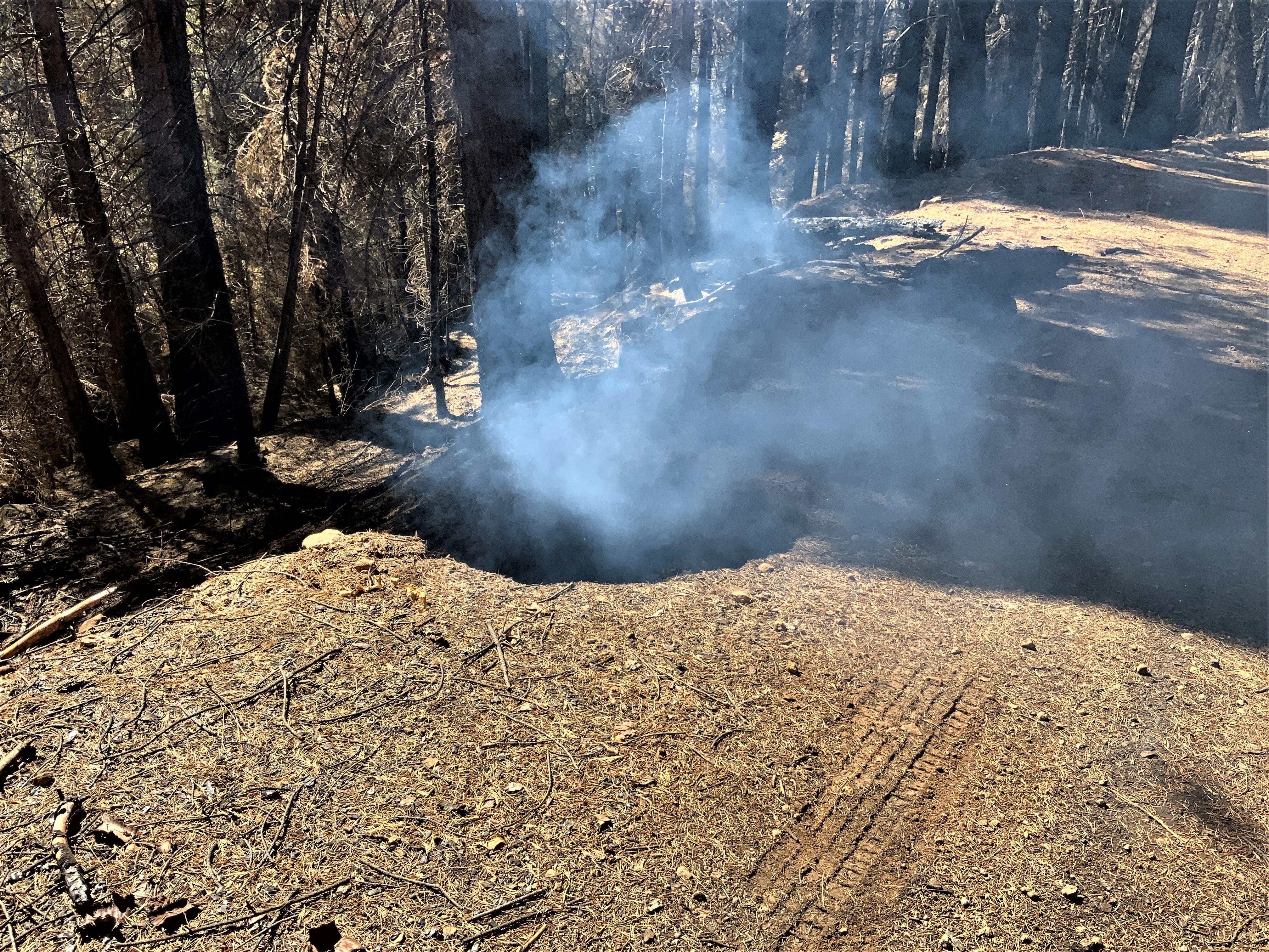 Image showing Smoldering tree stump hole along FS Road 13N48 near the Blodgett Experimental Forest in Mosquito burned area