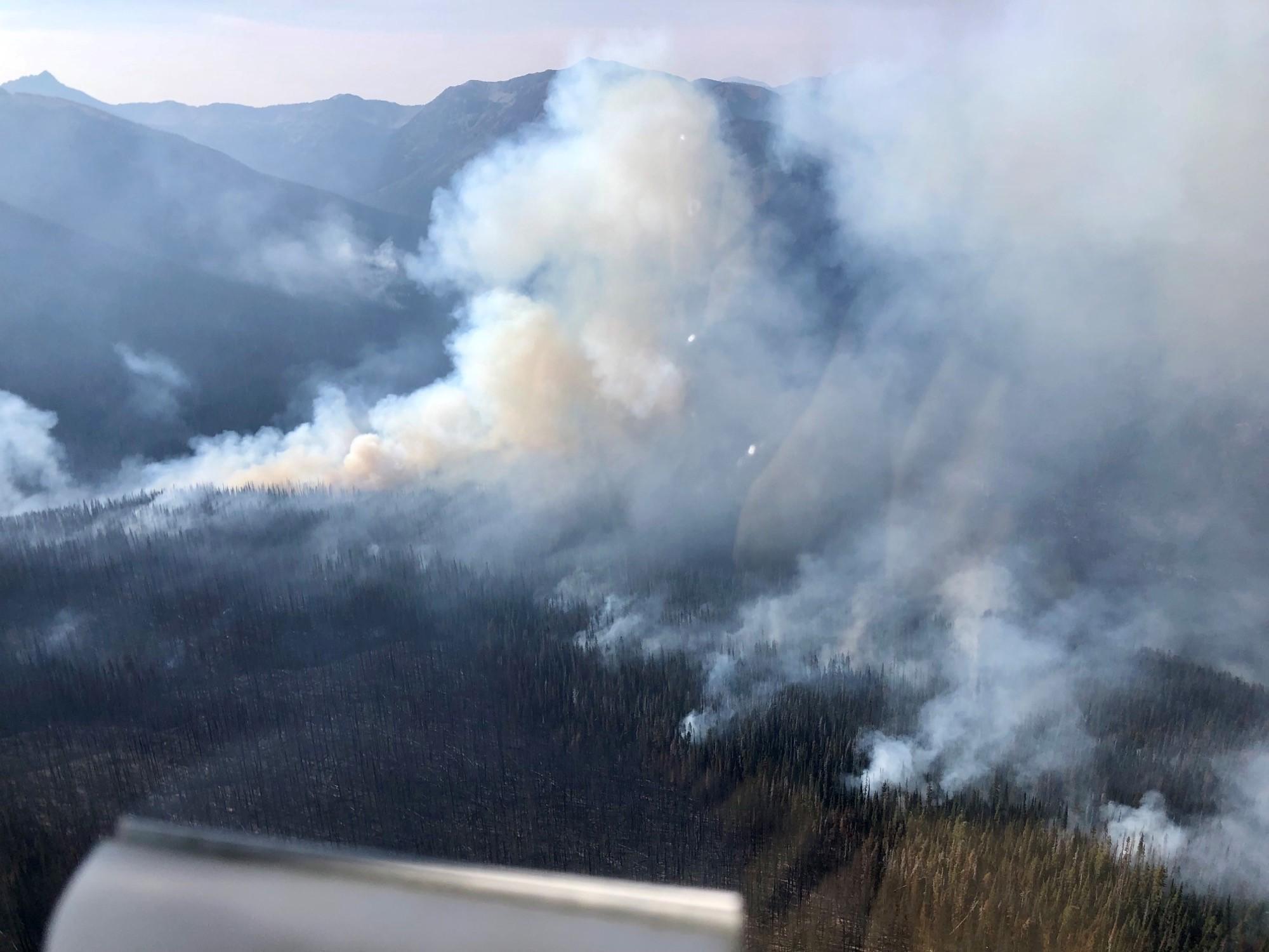 Aerial view of billowing white smoke rises from the green conifer forest.