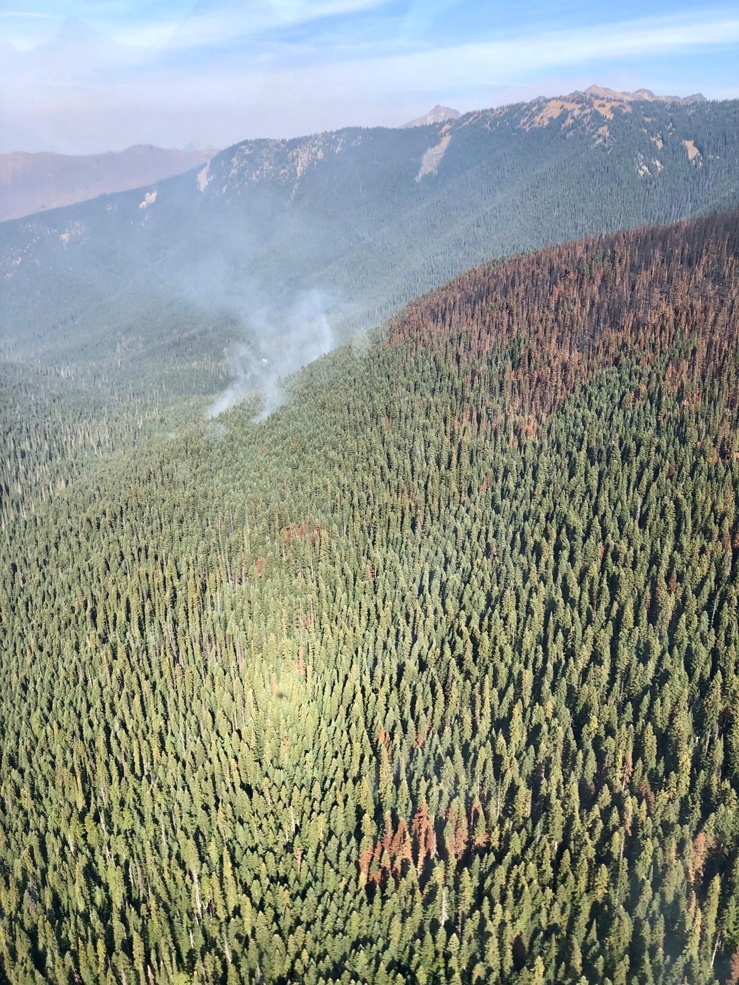 An aerial view of the green forest with wispy smoke from the Shull Fire  in the background.