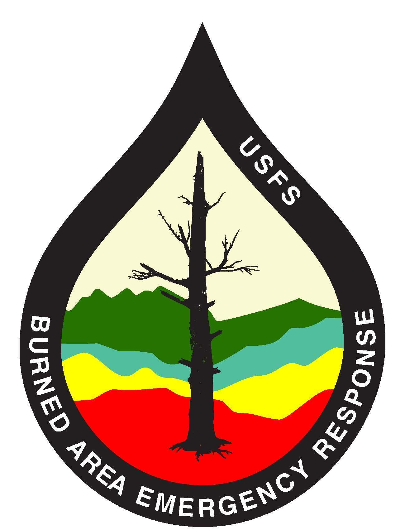 Burned Area Emergency Response Logo