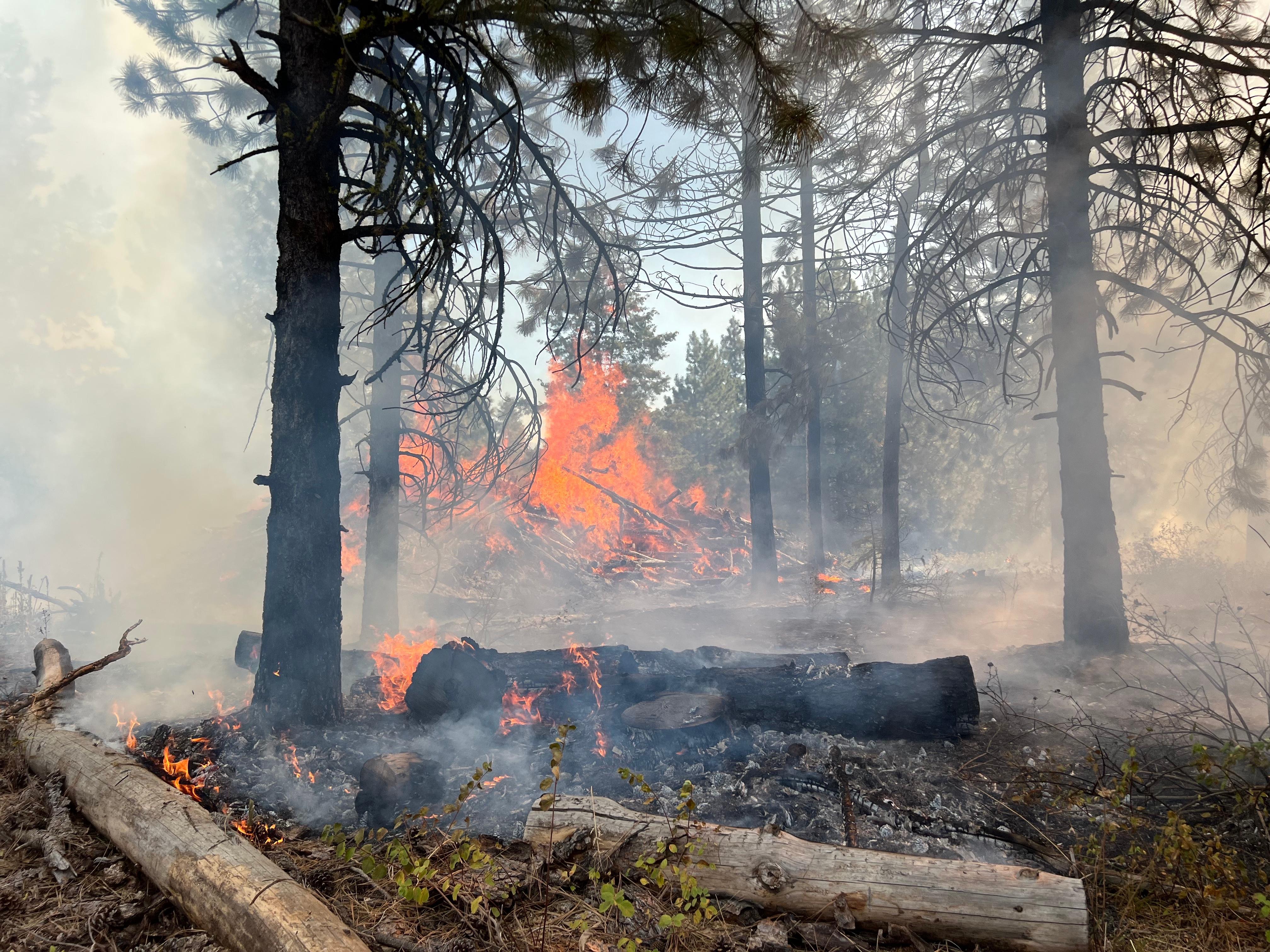 A large pile of slash (woody debris) is seen burning in the background. Downed trees and grass are burning and smoking in the foreground.