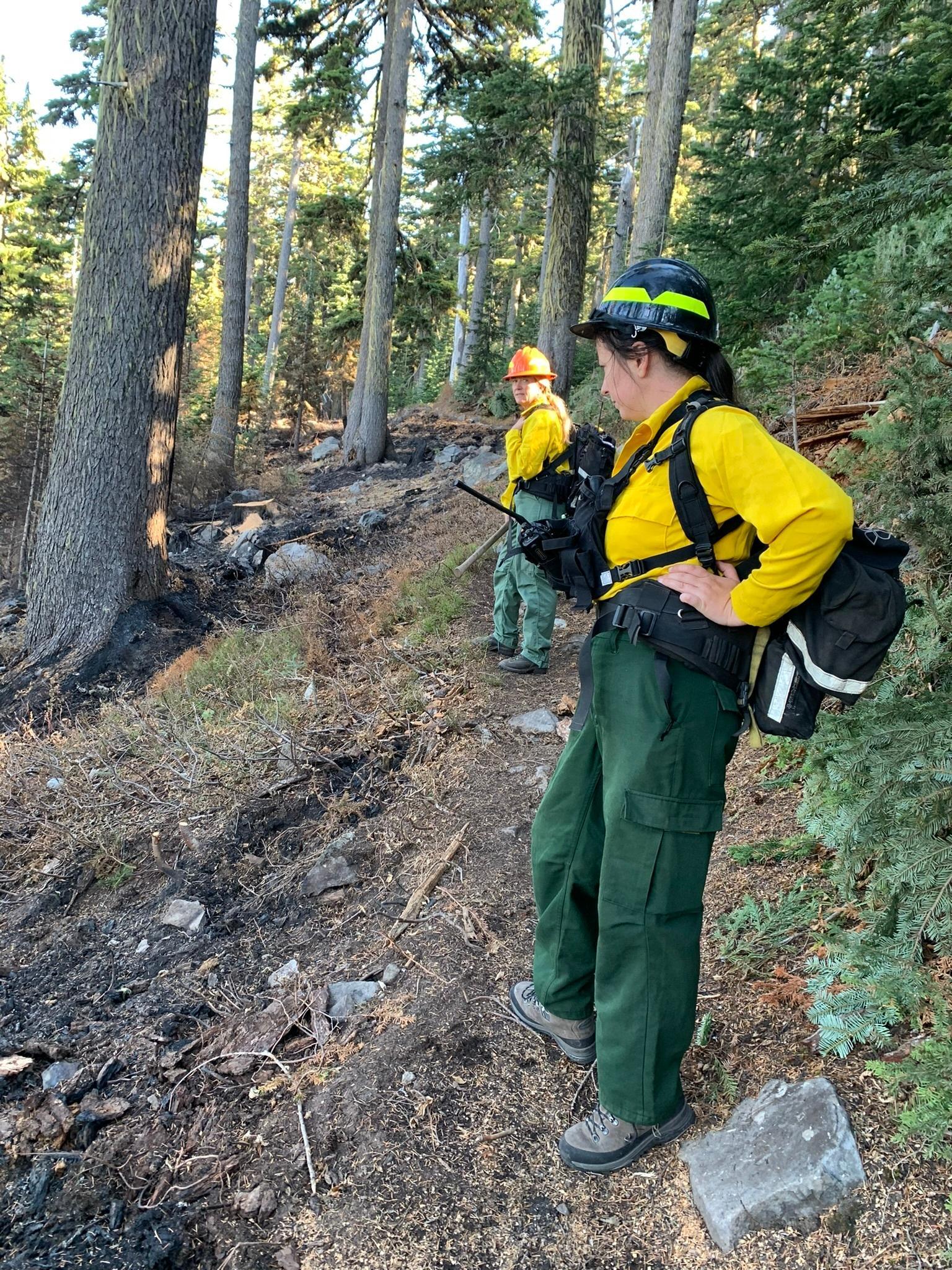 BAER botanists review vegetation loss on the Cedar Creek Fire to validate and update data to create a vegetation mortality map.