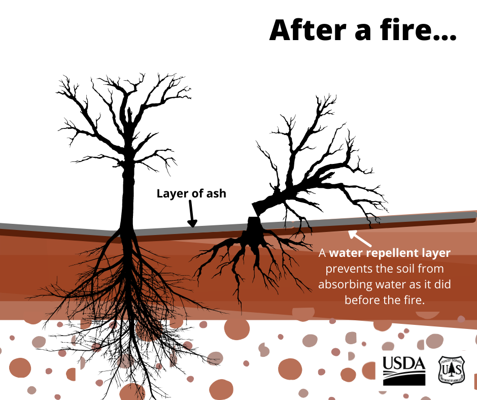Scientists look at changes in the soils, including: Loss of ground cover; Changes in the surface color; Changes in soil structure; Loss of fine roots in the surface soils; Formation of water-repellent layers that limit ability of the soil to absorb water.