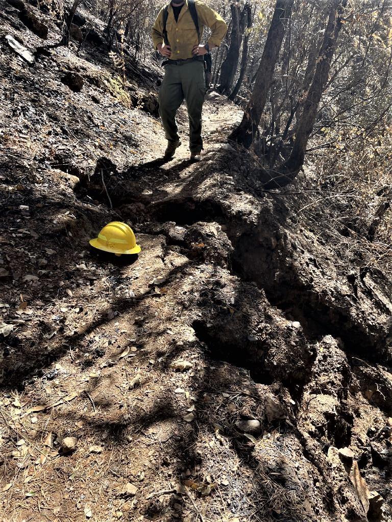 Image showing BAER assessing trails in Mosquito burned area