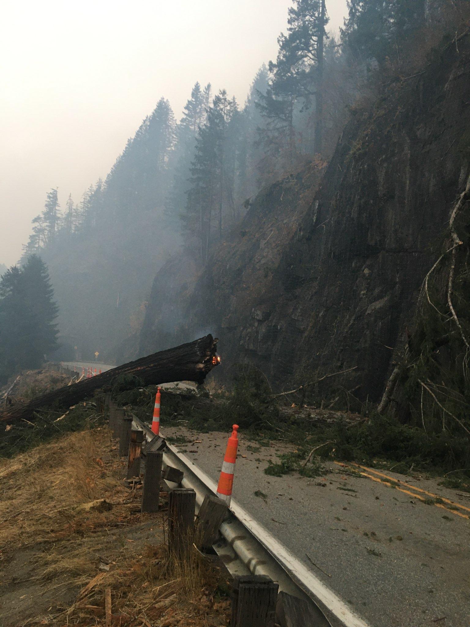 Trees come down from the cliffs onto Hwy 2