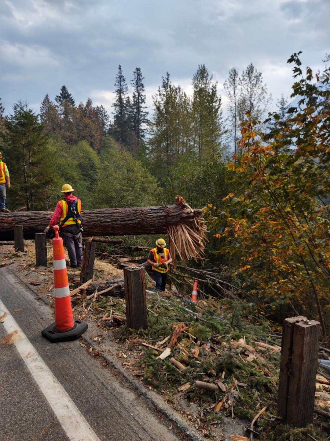 10/10 - WSDOT crews worked to remove trees.