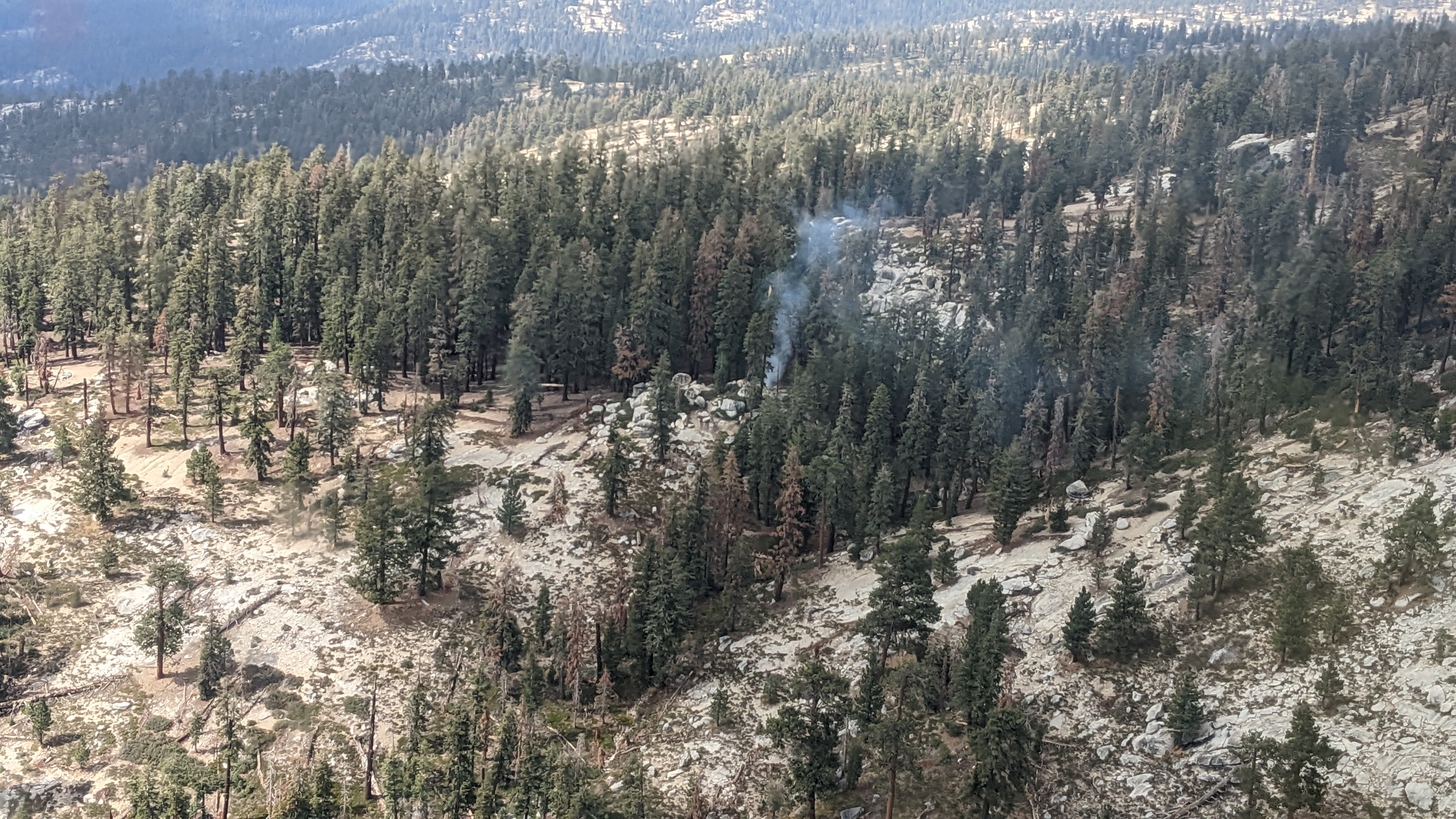 A small plume of gray smoke rises from a tree on a sparsely forested hillside