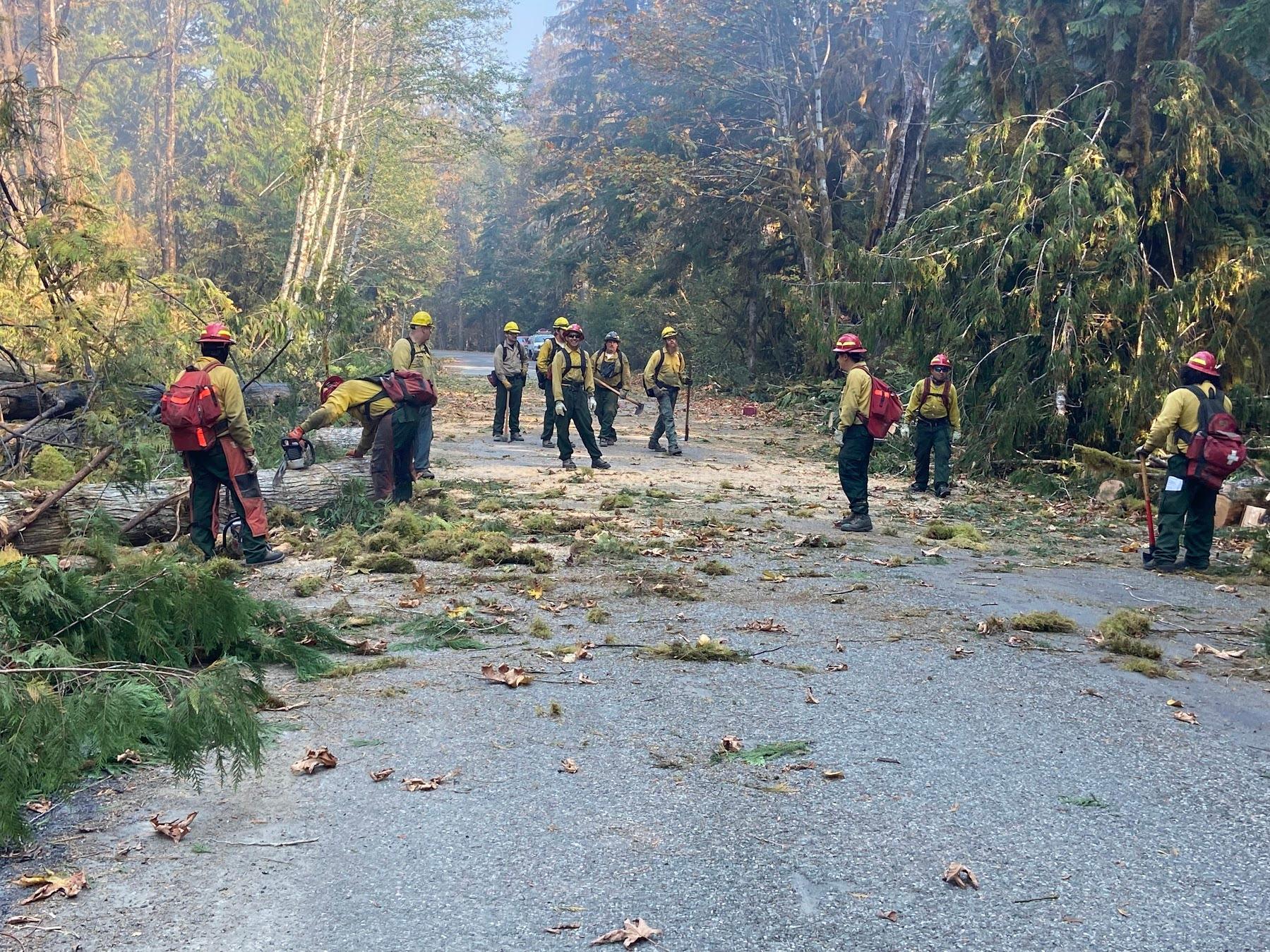 Firefighters clearing down trees and other debris on roads.