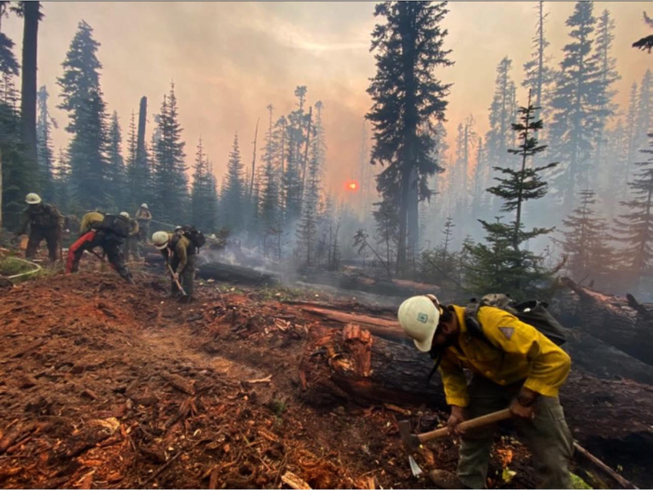 Multiple firefighters in white hardhats and yellow shirts use tools to dig line in the ground to remove all vegetation and have a strip of mineral soil along the fires edge. Smoke rises though the trees with a hazy, orange sun in the cloudy sky.