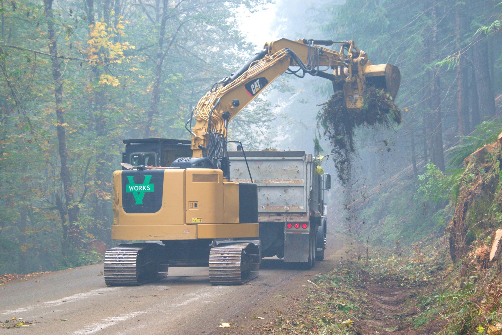 A large piece of heavy equipment know as an excavator uses a long arm with a claw bucket on the end to pick up vegetation debris along a road and place in a white dump truck.