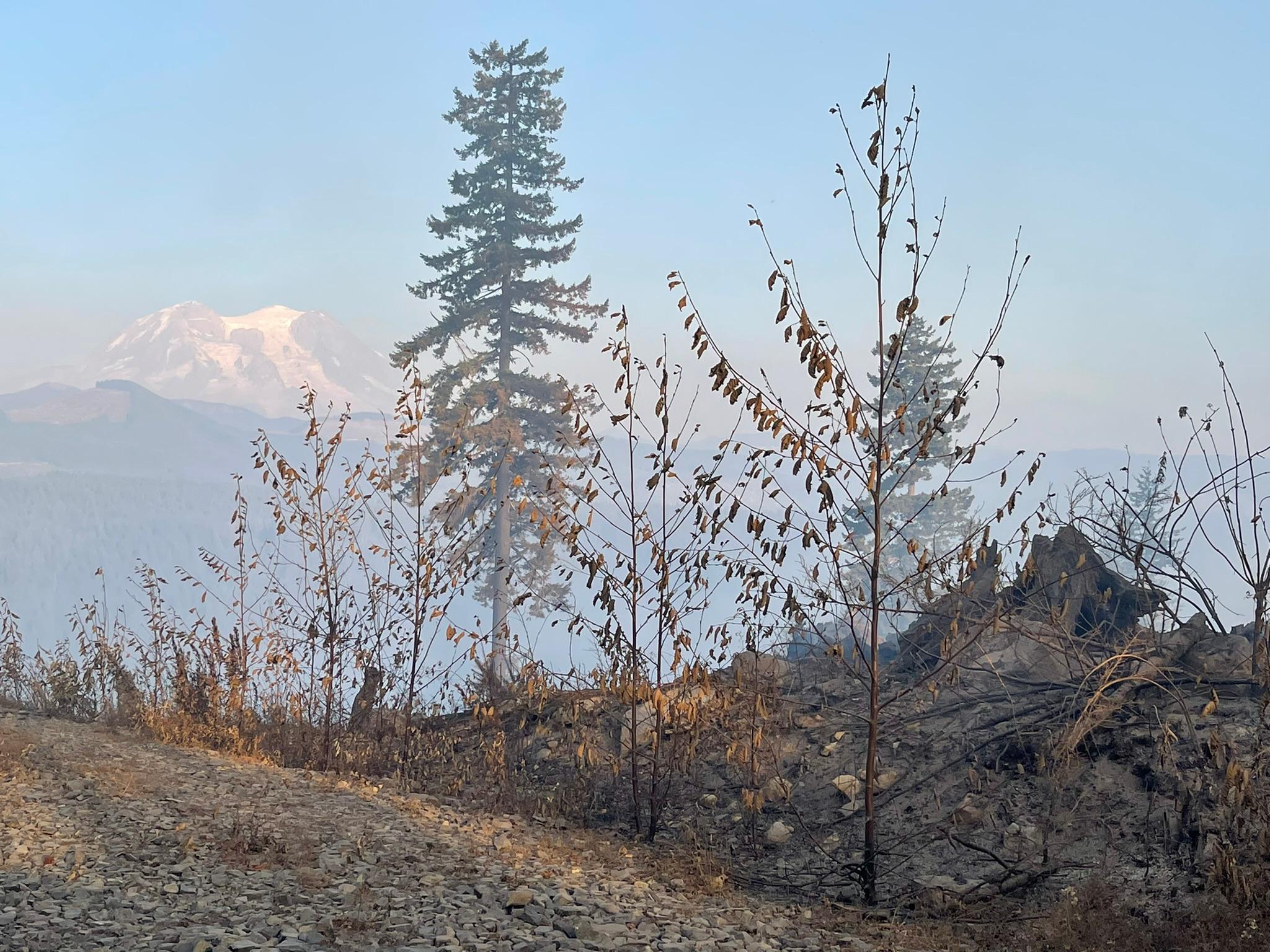 Mount Rainier seen in the distance through the smoke generated by the 8 Road Fire and other incidents