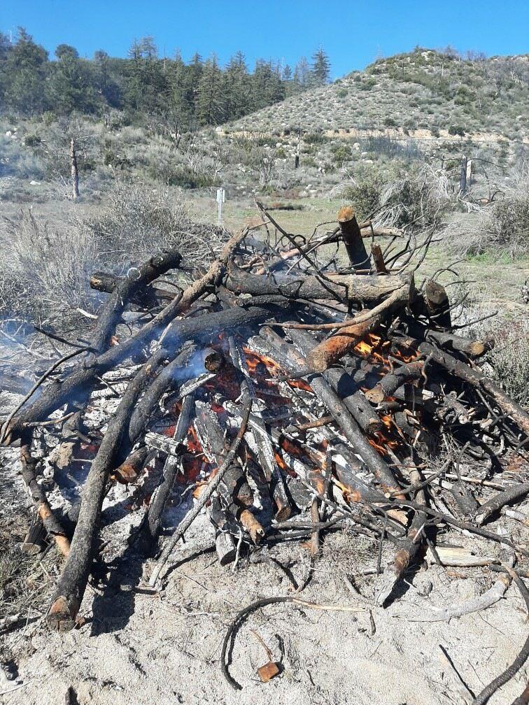 Fuels being consumed in one of the piles being burned on the Cranston Reforestation prescribed Burn 3/28/23