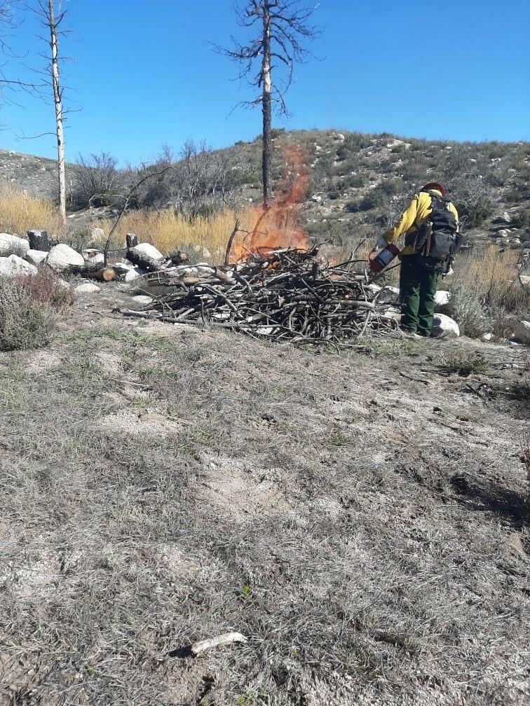 Firefighters monitor burn pile on the Cranston Reforestation prescribed burn on 3/28//23.