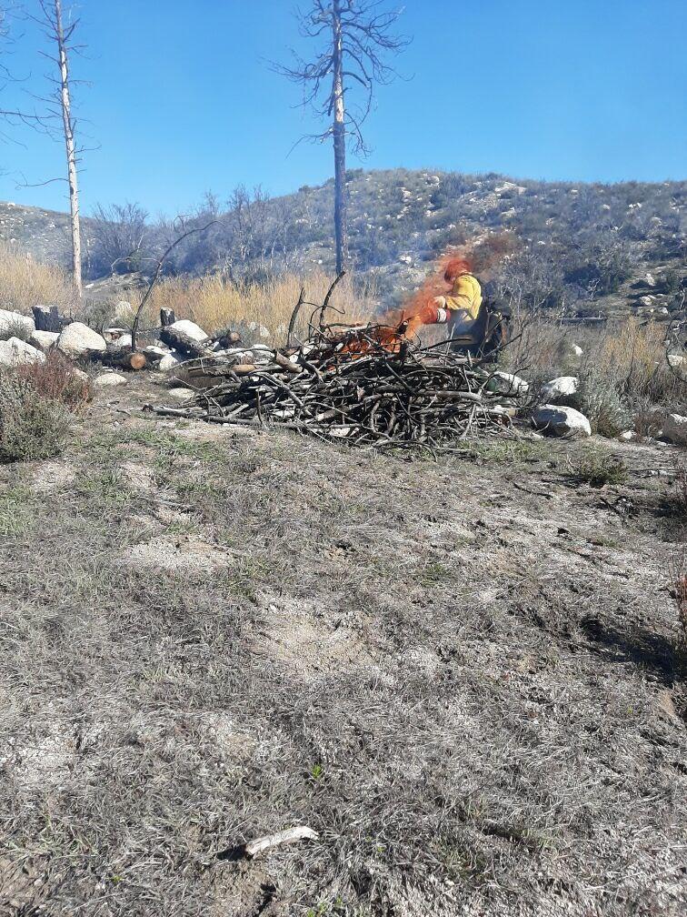 Firefighters ignite a burn pile on the Cranston Reforestation prescribed burn 3/28/23.