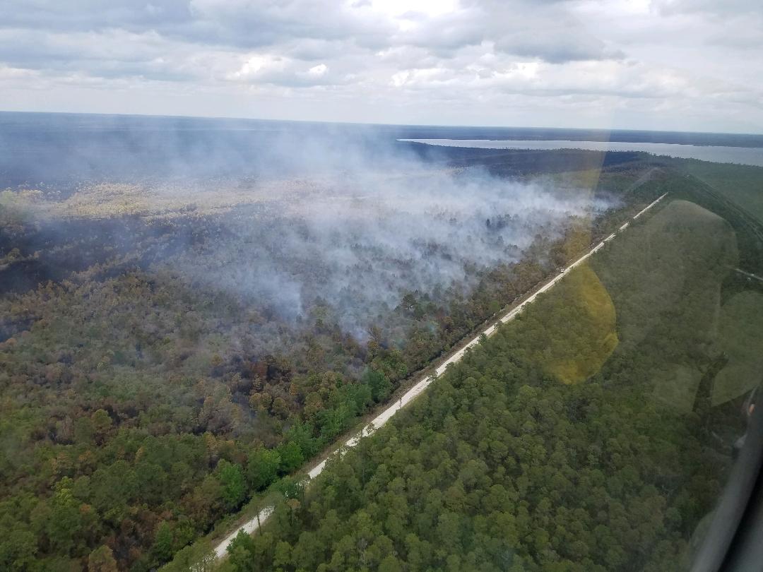 Area of organic soils burning in Division F, along Great Lake Road, Great Lake in the background.