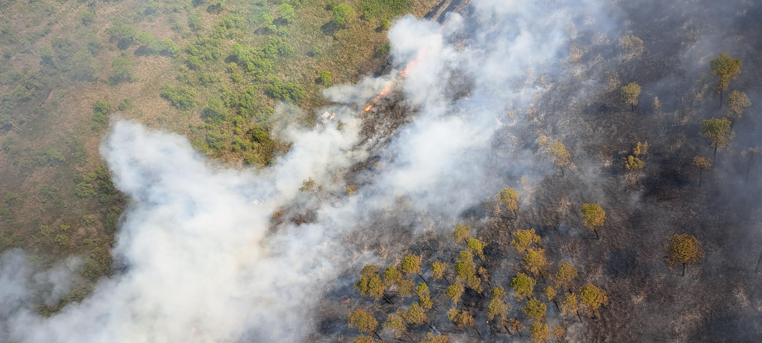 Aerial view of the Great Lakes Fire on April 20, 2023. The top/left portion of the picture shows green, unburned vegetation while the bottom/right portion of the picture shows burned and blackened vegetation. Smoke rises from the portion splitting the picture where active fire shows.