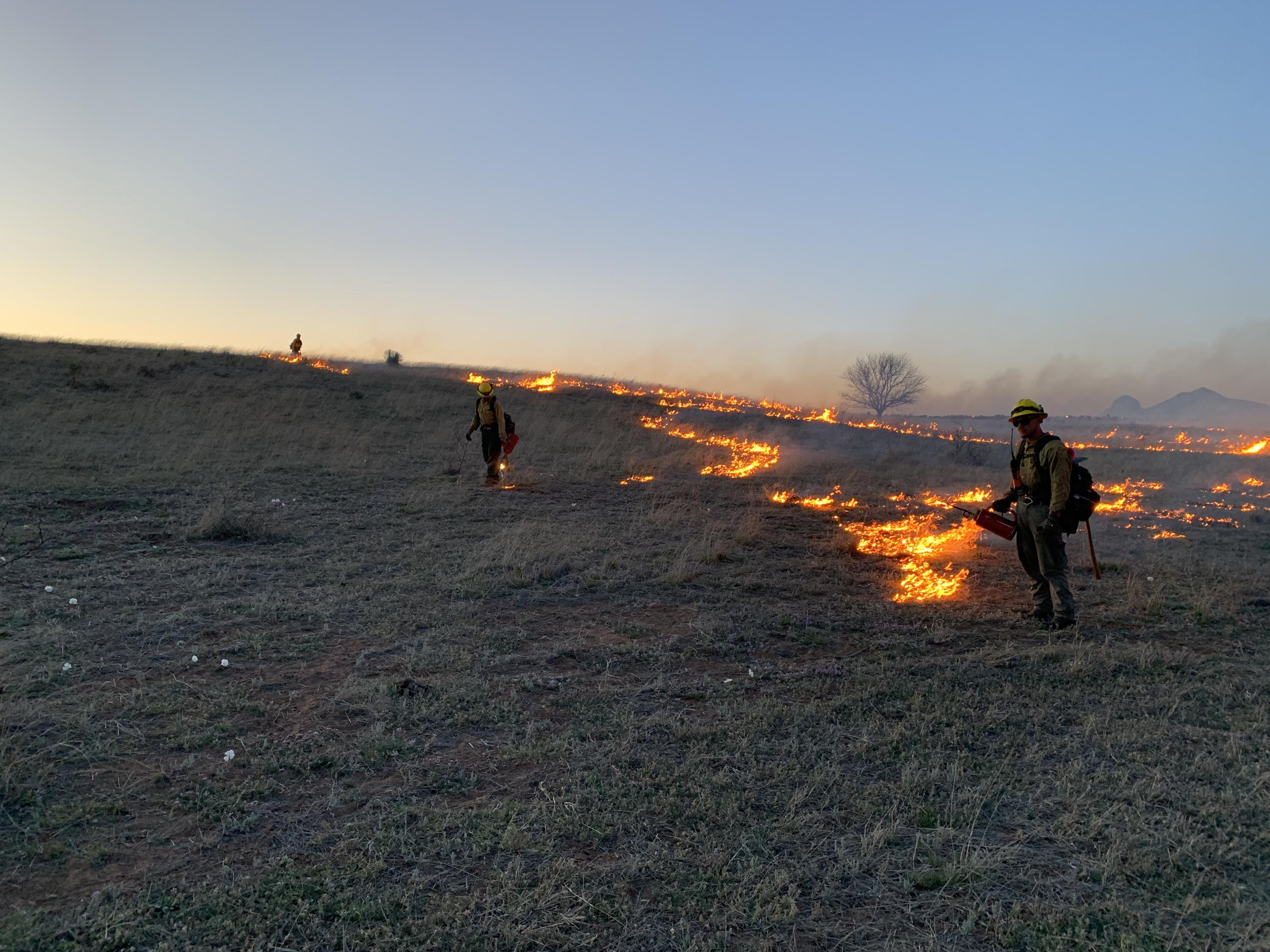 DFFM Florence Crew doing Firing operations